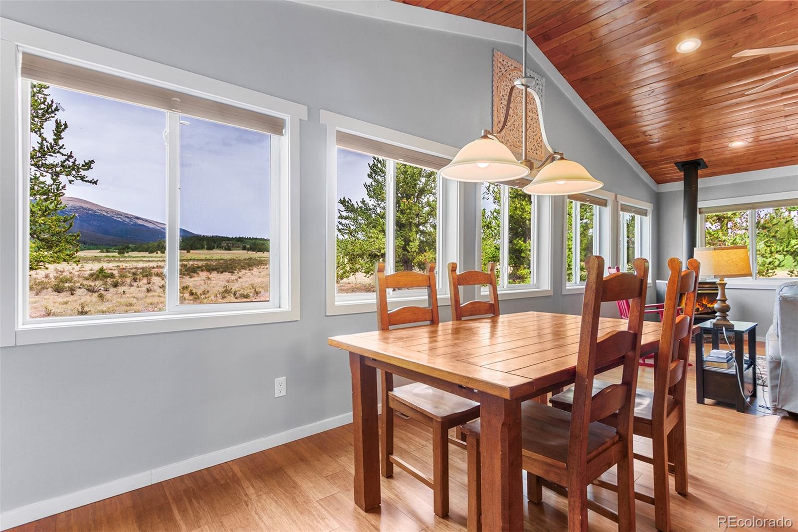 MLS Image #2 for 485  high creek road,fairplay, Colorado