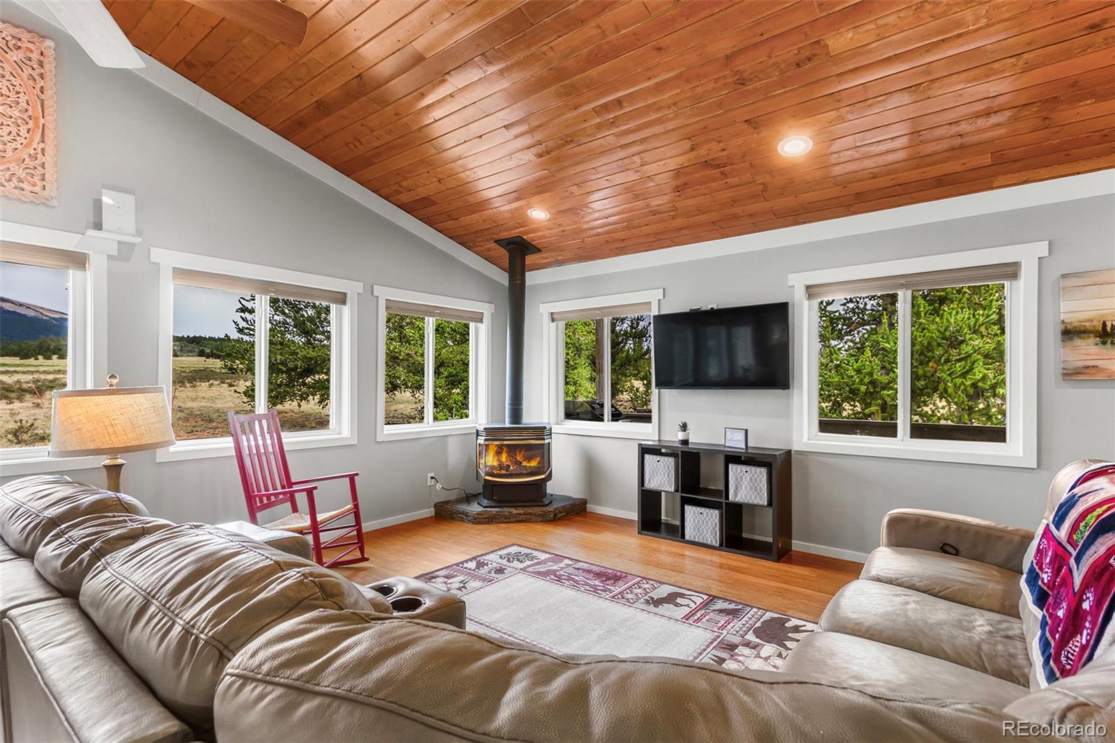 MLS Image #3 for 485  high creek road,fairplay, Colorado