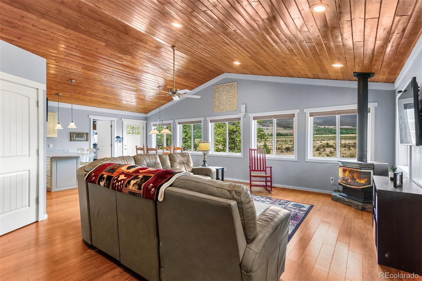 MLS Image #4 for 485  high creek road,fairplay, Colorado