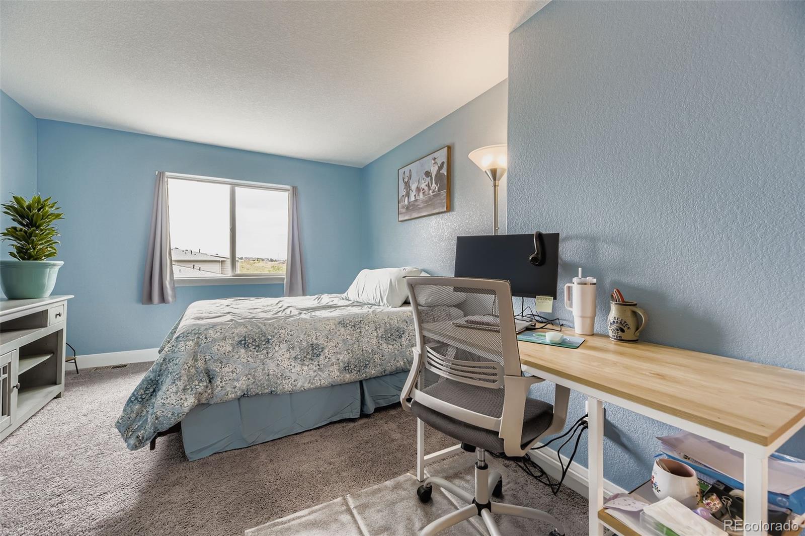 MLS Image #18 for 20296  tall forest lane,parker, Colorado