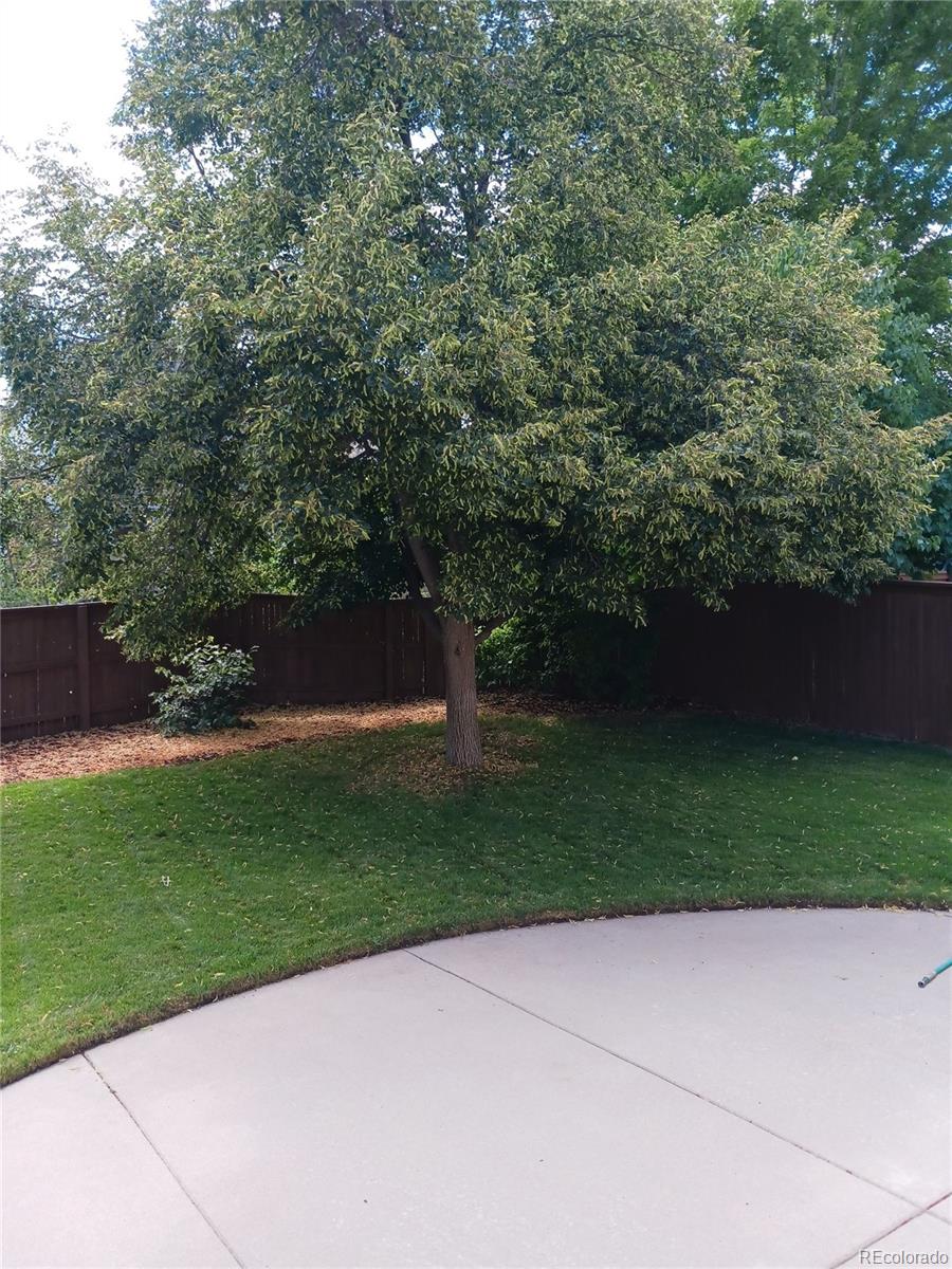 MLS Image #28 for 9488 s hackberry lane,highlands ranch, Colorado