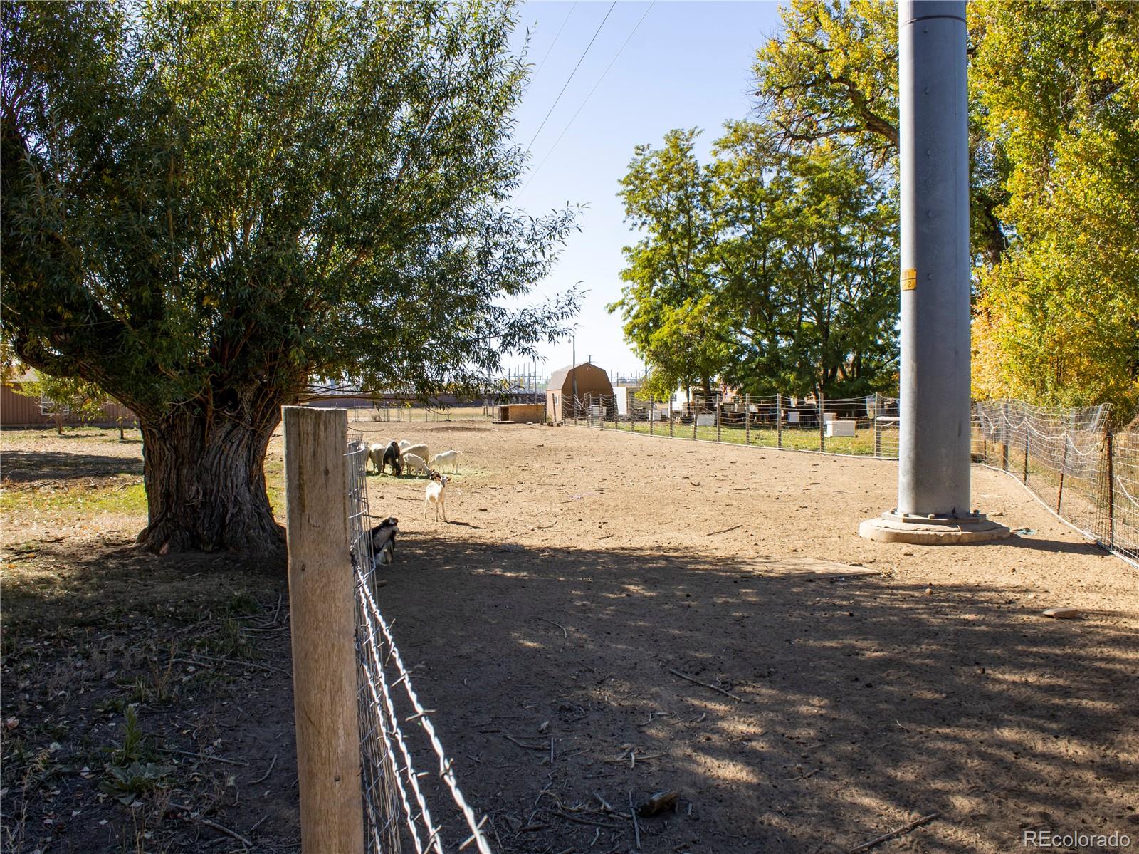 MLS Image #4 for 2306 e 1st street,loveland, Colorado
