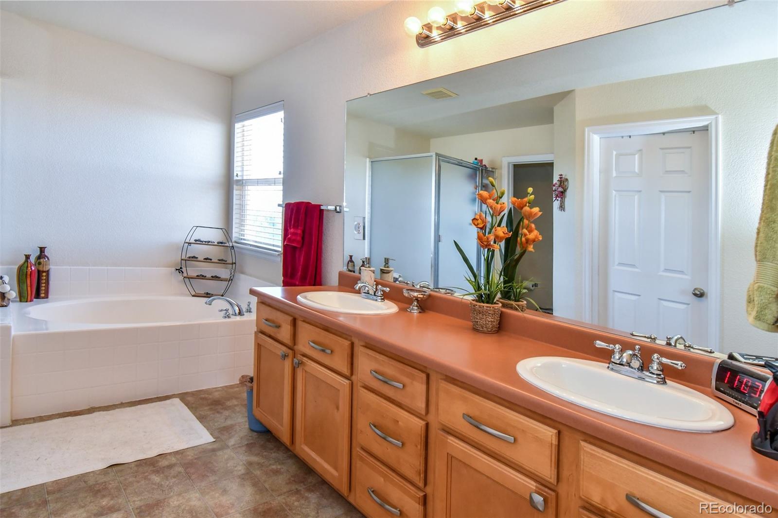 MLS Image #15 for 3978  balderas street,brighton, Colorado