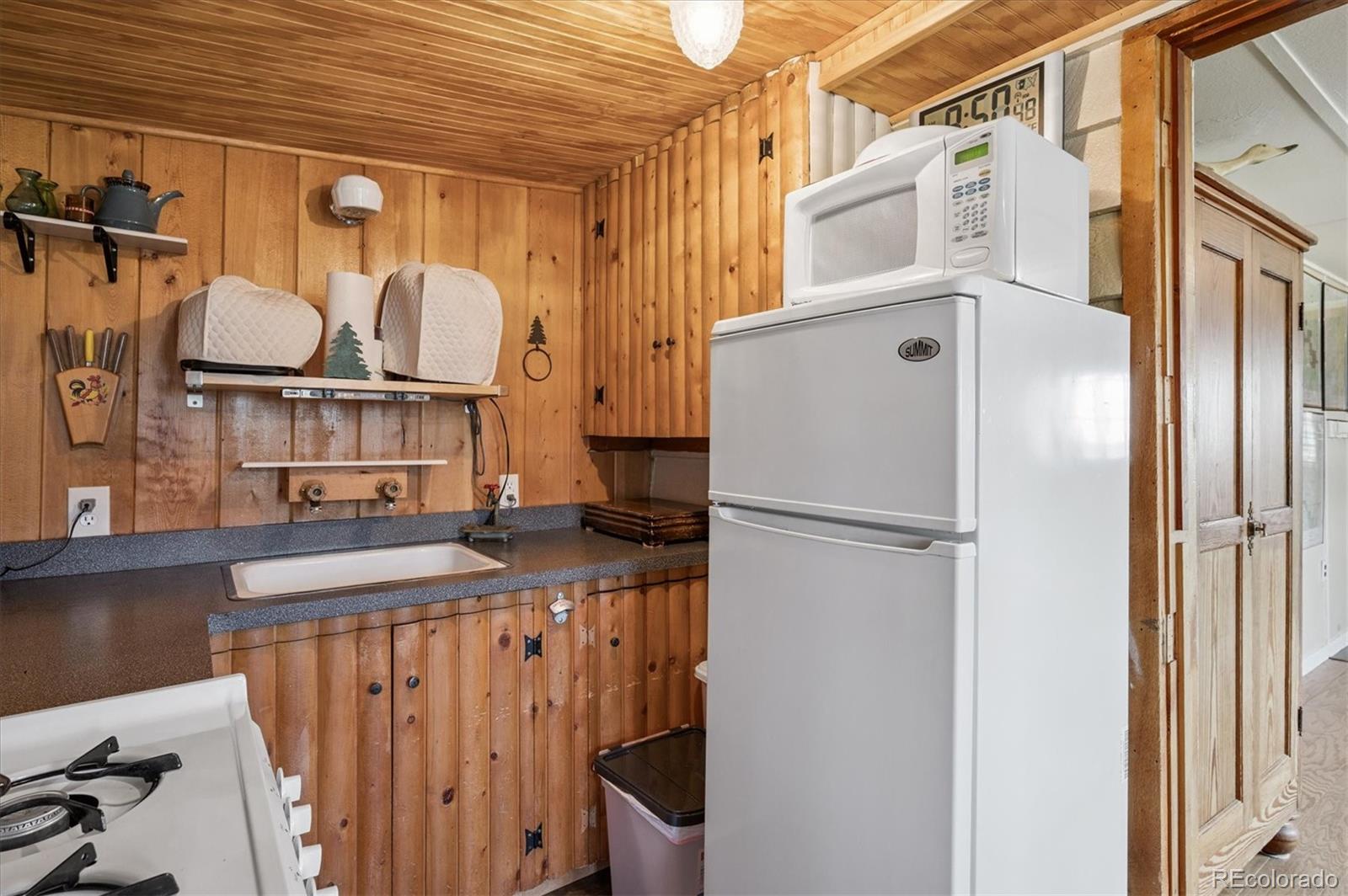 MLS Image #7 for 990  road p69 ,bailey, Colorado