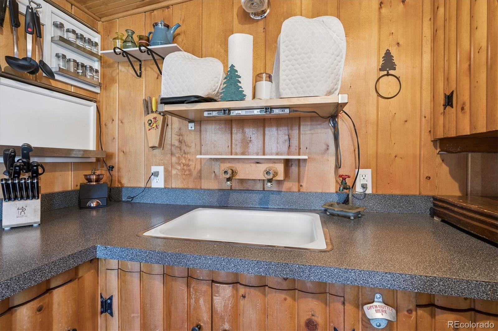 MLS Image #8 for 990  road p69 ,bailey, Colorado