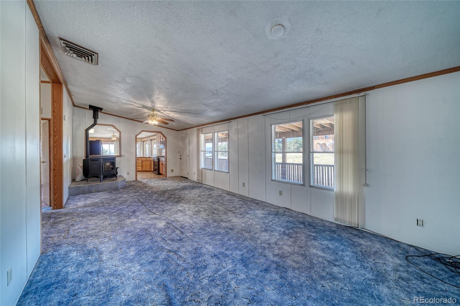 MLS Image #6 for 525  holiday hills boulevard,howard, Colorado