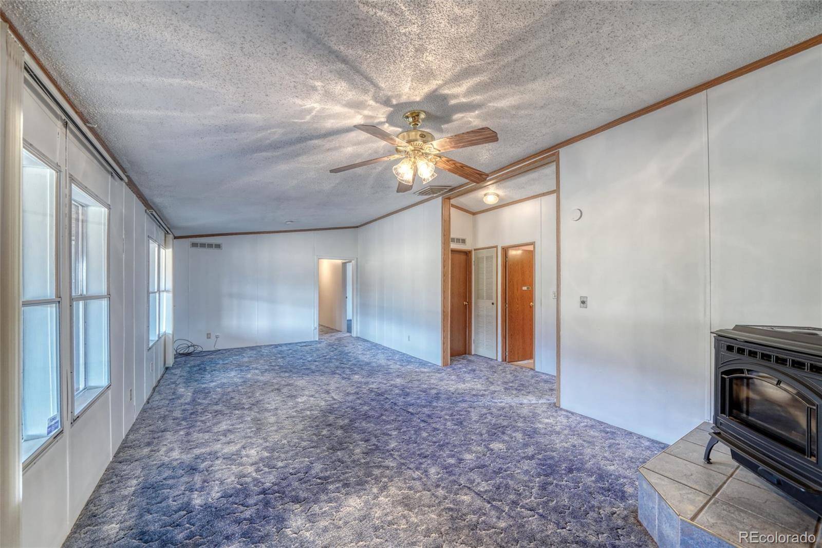 MLS Image #7 for 525  holiday hills boulevard,howard, Colorado