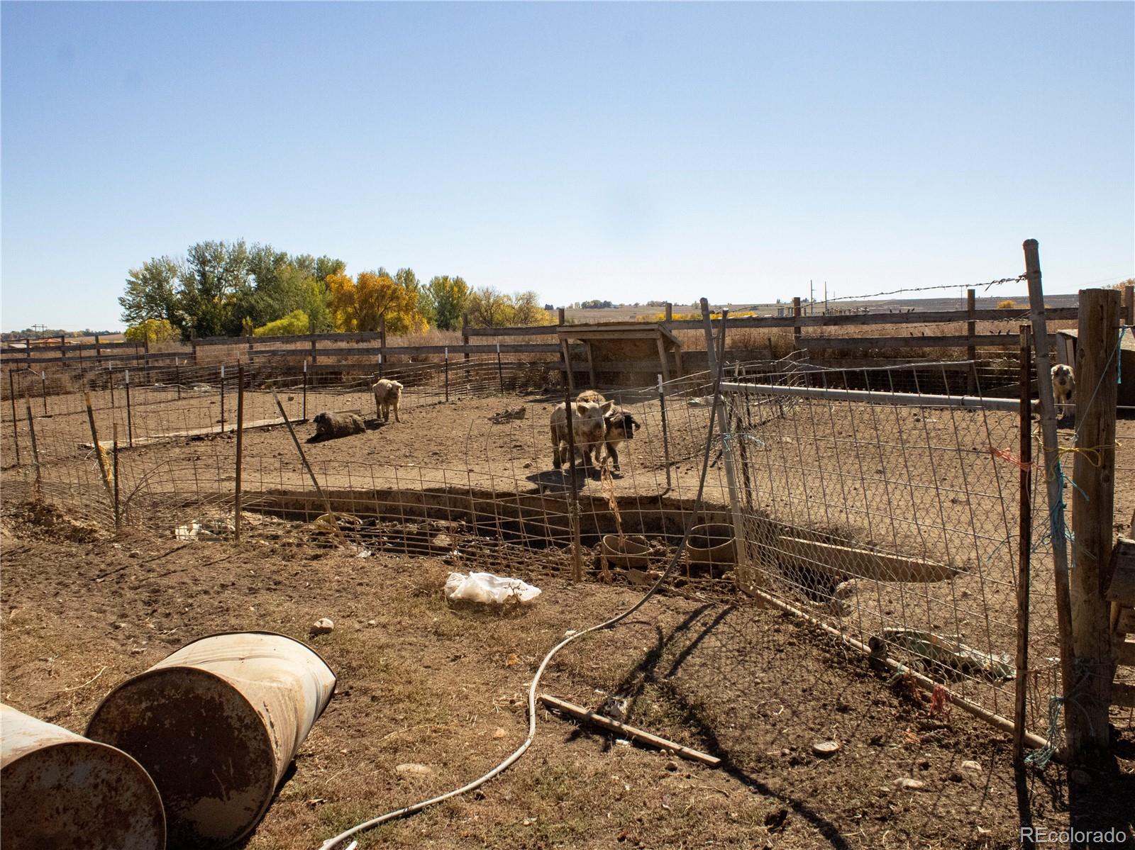 MLS Image #22 for 162  farm museum lane,loveland, Colorado
