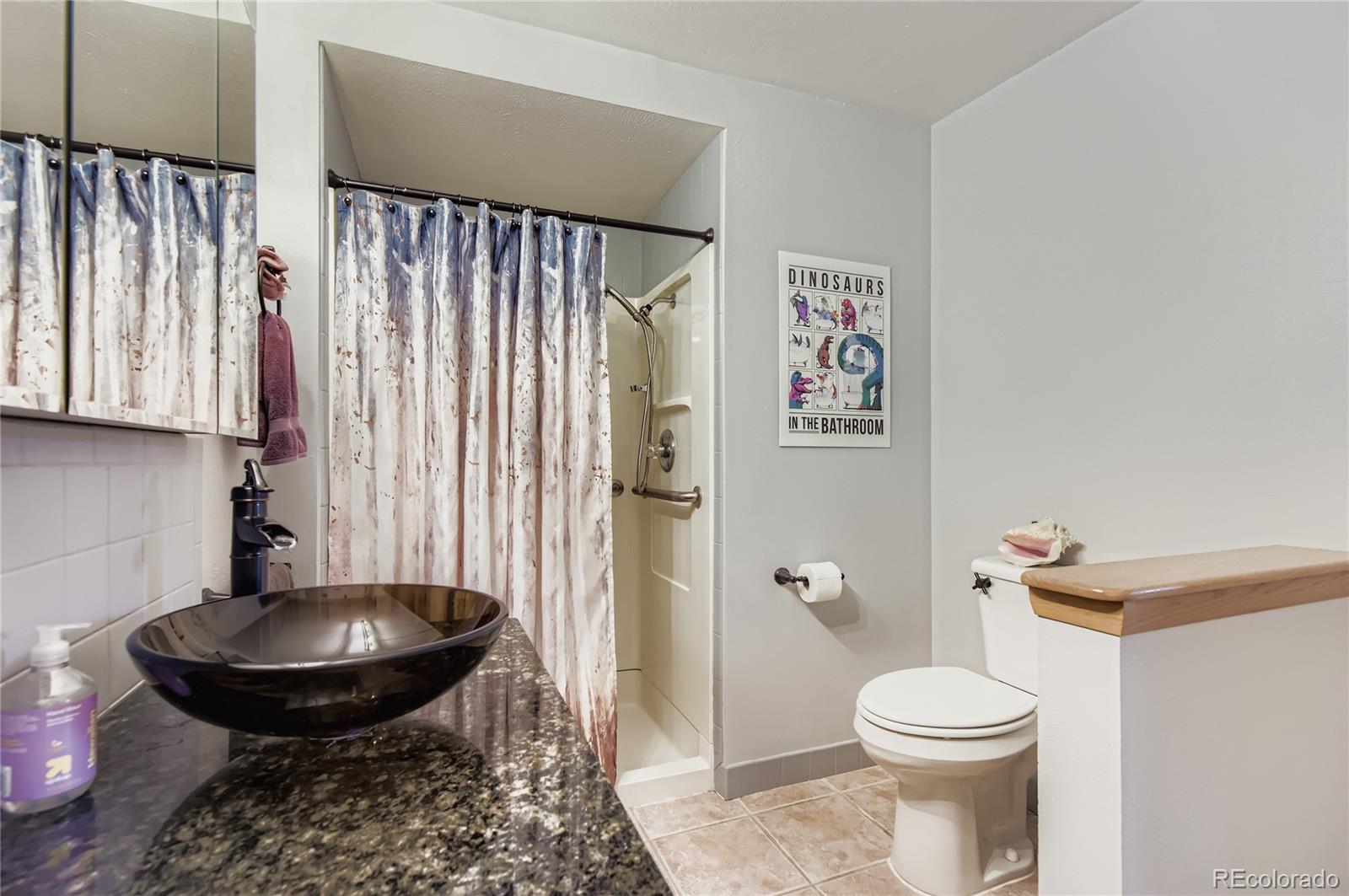 MLS Image #12 for 751  beech street,lakewood, Colorado