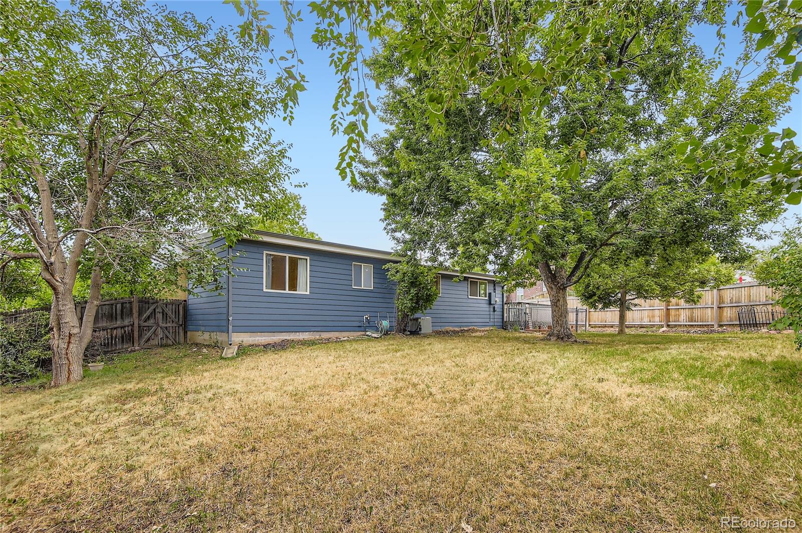 MLS Image #20 for 751  beech street,lakewood, Colorado