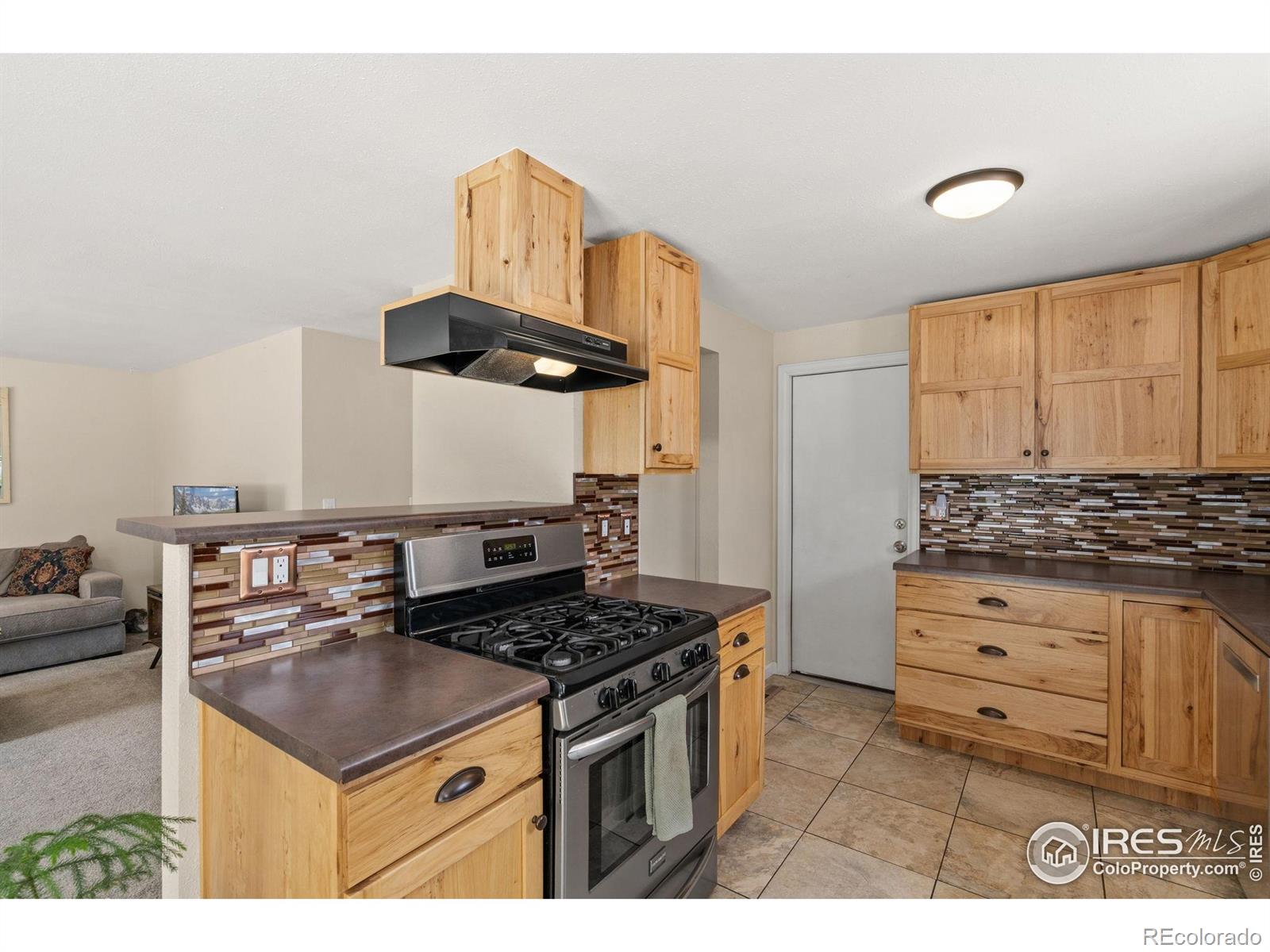 MLS Image #4 for 677  gayla court,loveland, Colorado
