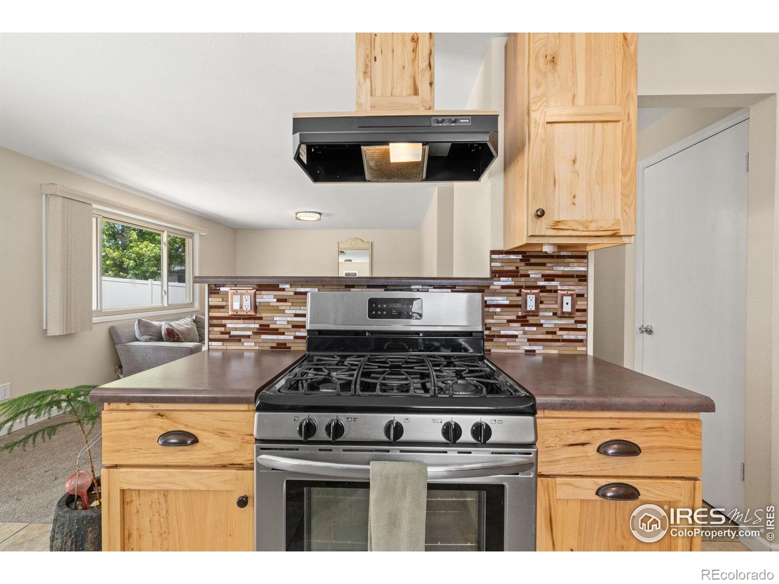 MLS Image #7 for 677  gayla court,loveland, Colorado