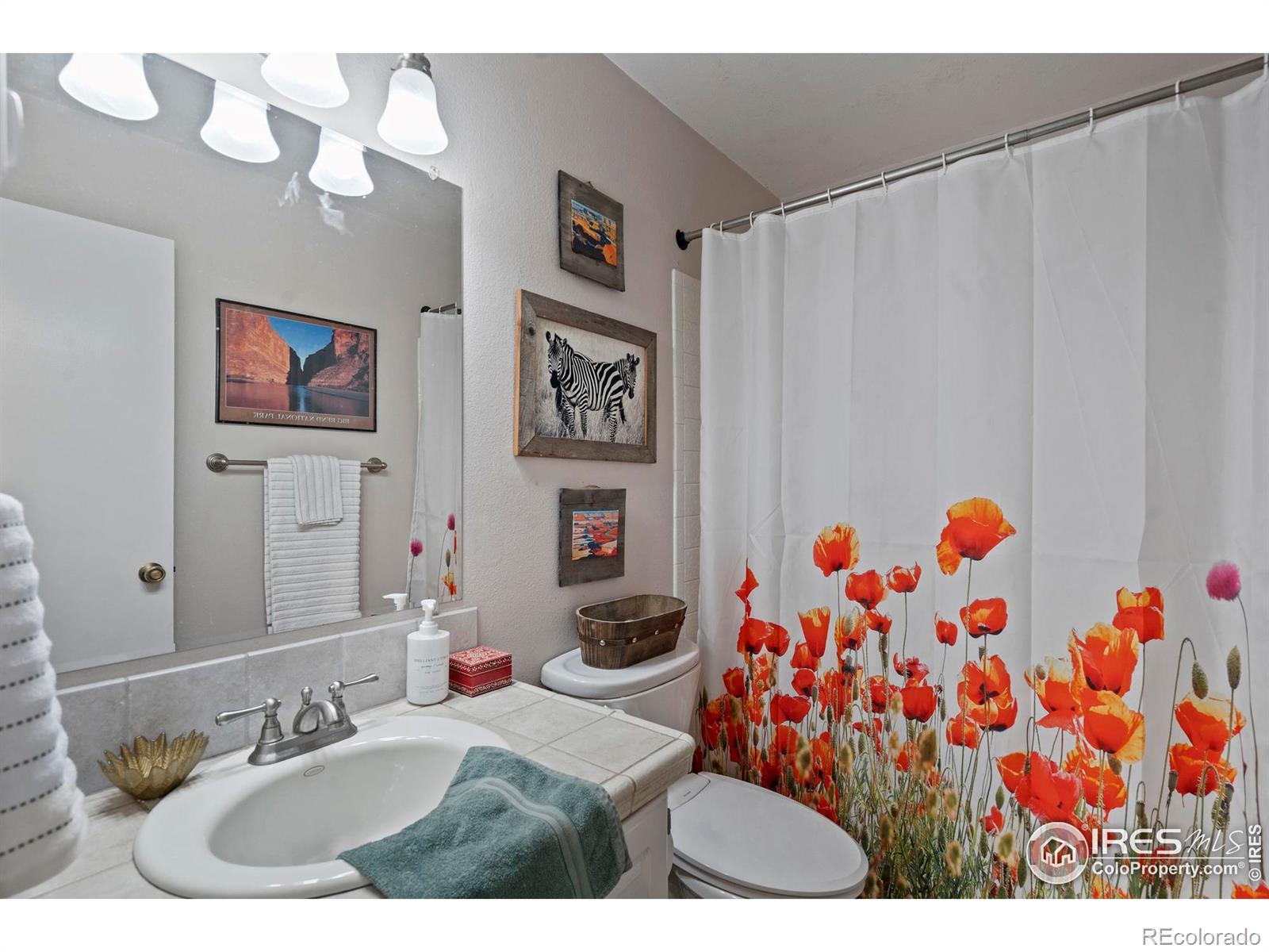 MLS Image #15 for 1419  glen haven drive,fort collins, Colorado