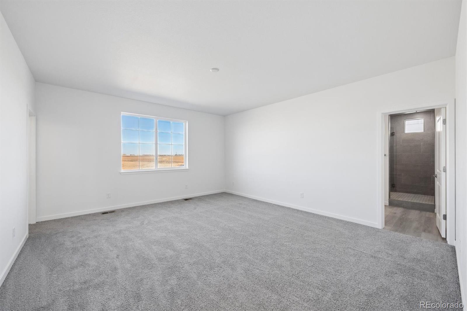 MLS Image #14 for 5701  wayfarer circle,firestone, Colorado