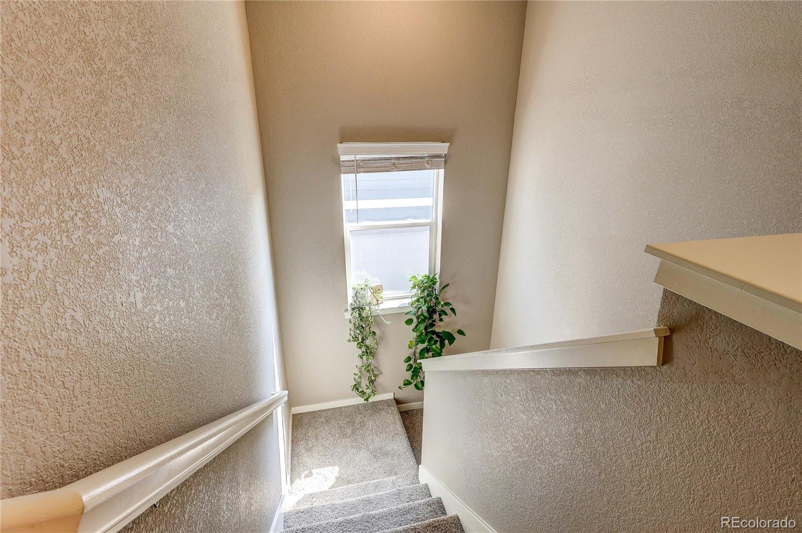 MLS Image #22 for 1335  copeland falls road,severance, Colorado