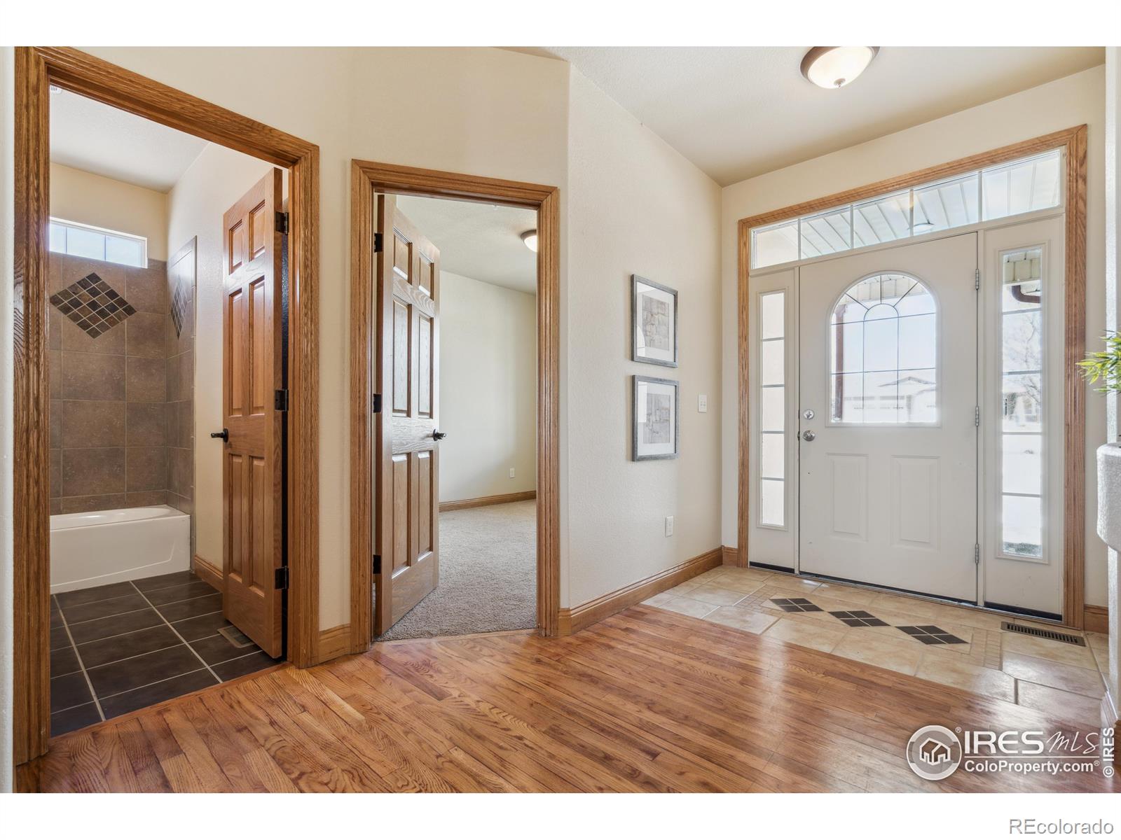 MLS Image #2 for 1754  nucla court,loveland, Colorado