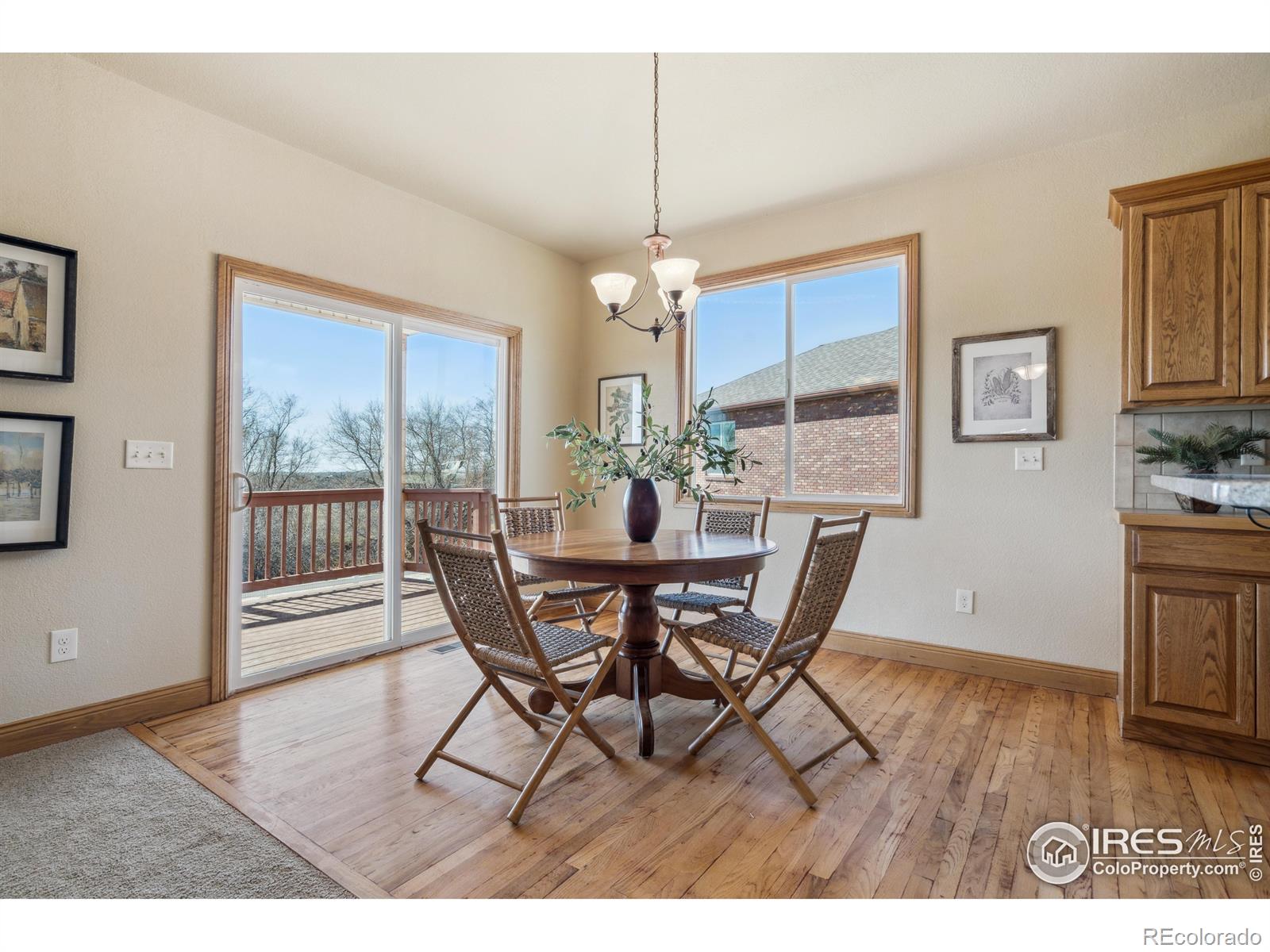 MLS Image #7 for 1754  nucla court,loveland, Colorado