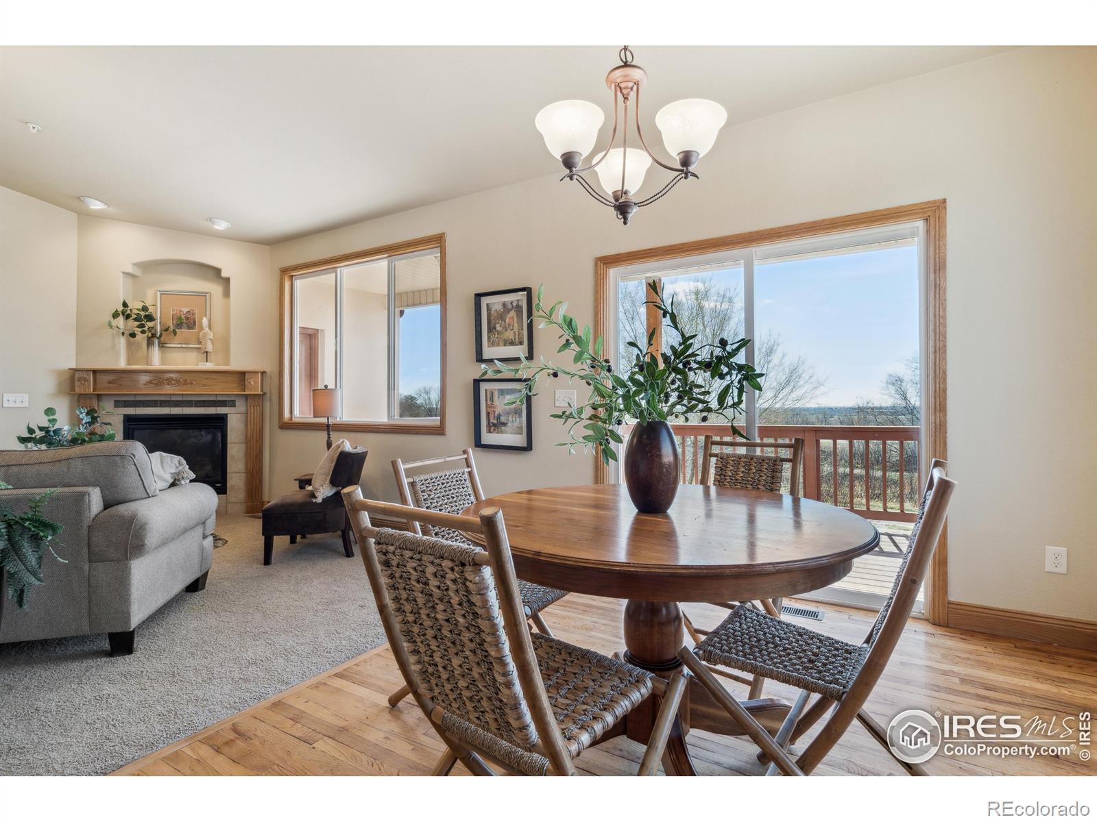 MLS Image #8 for 1754  nucla court,loveland, Colorado