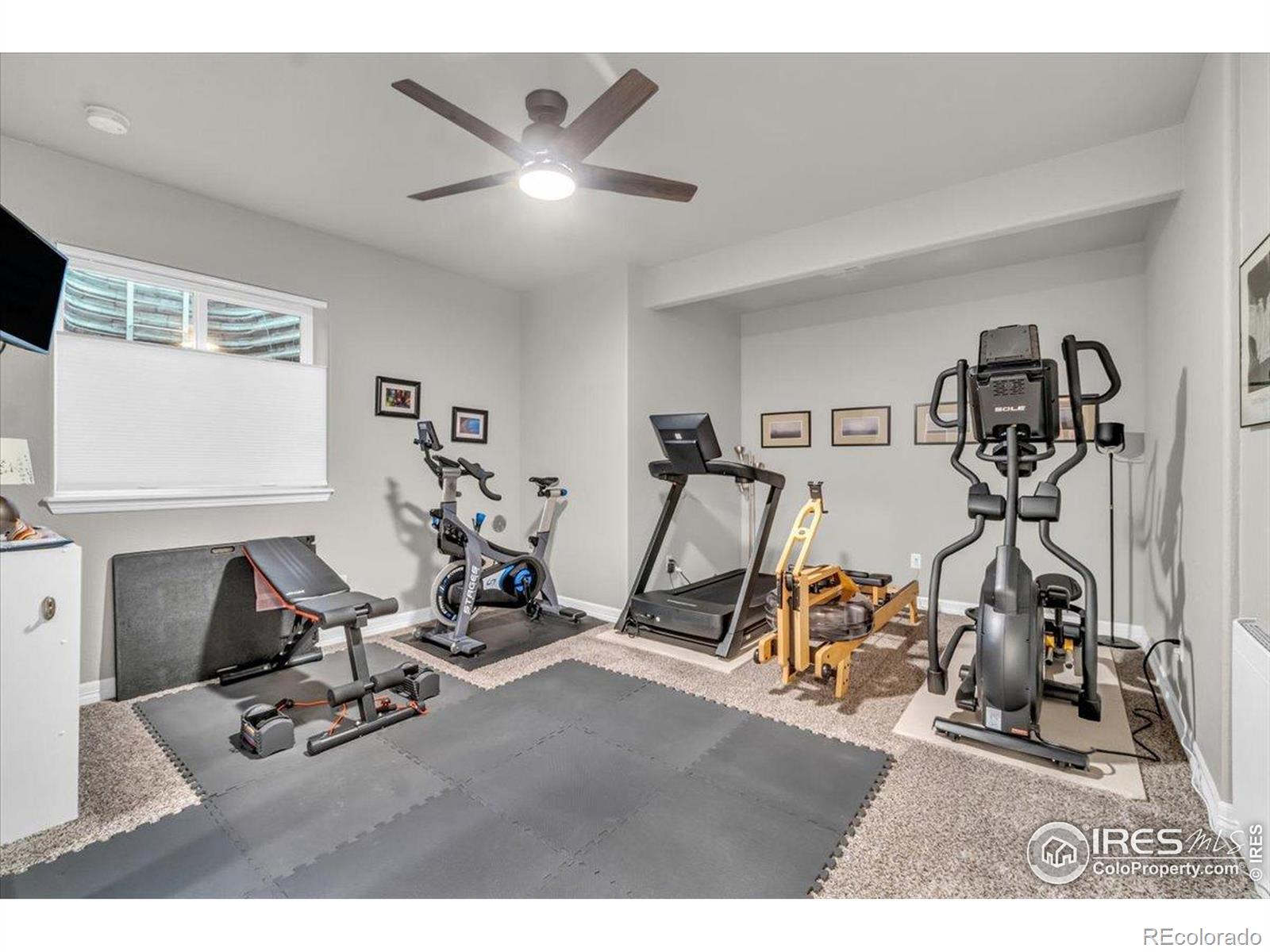 MLS Image #26 for 5584  chantry drive,windsor, Colorado