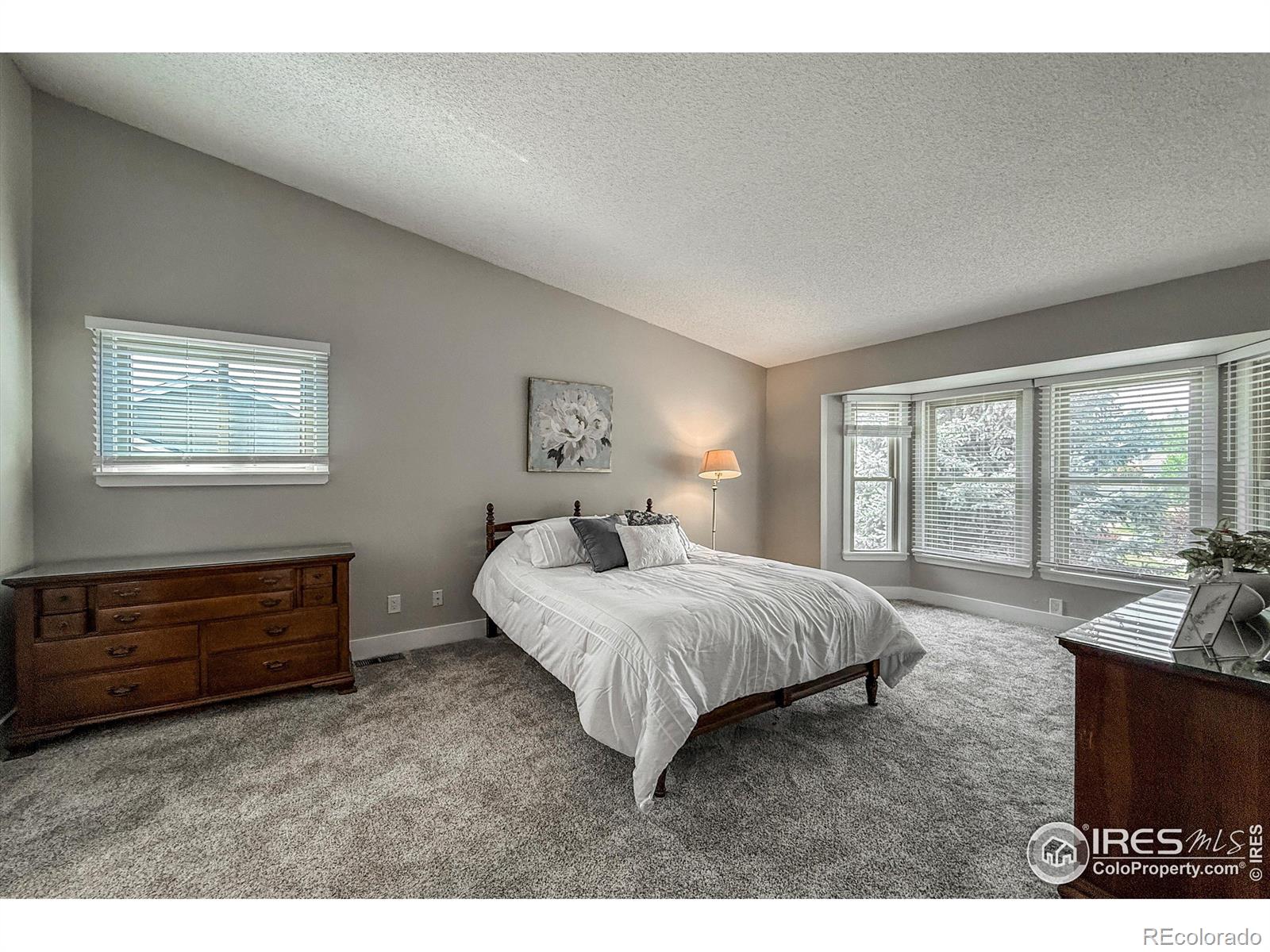 MLS Image #17 for 3762 w 99th avenue,westminster, Colorado