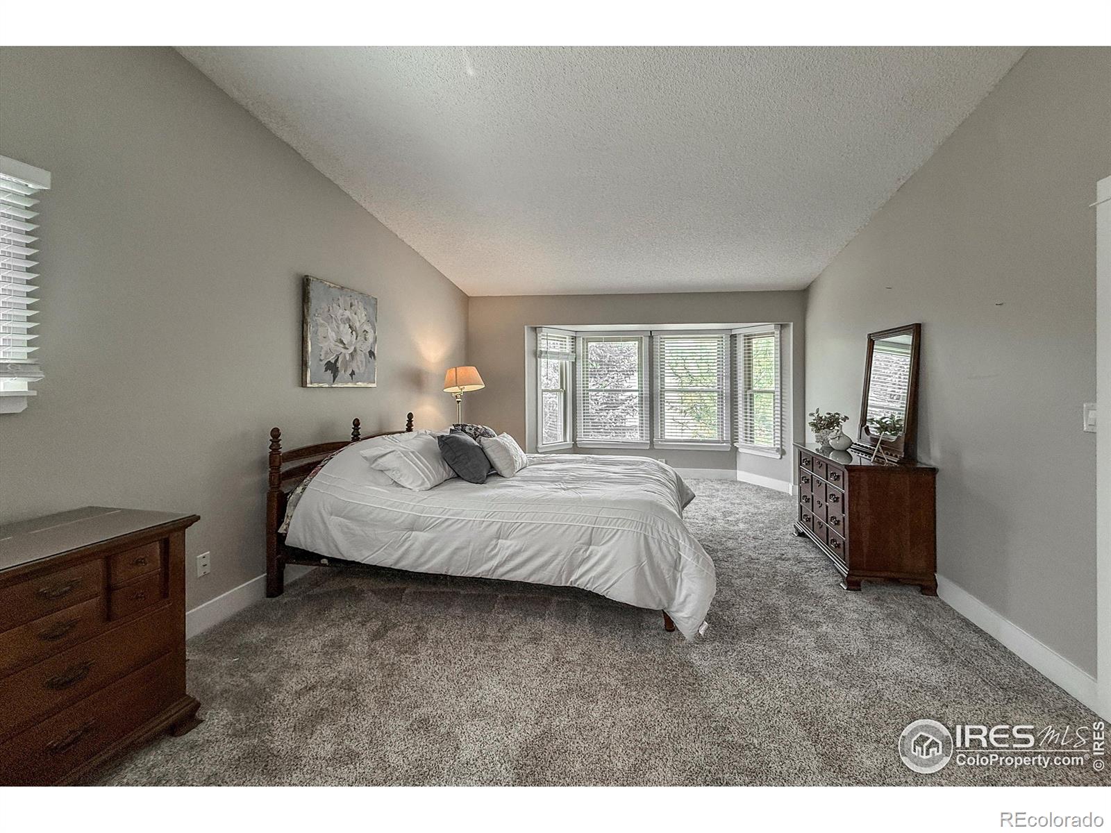 MLS Image #18 for 3762 w 99th avenue,westminster, Colorado