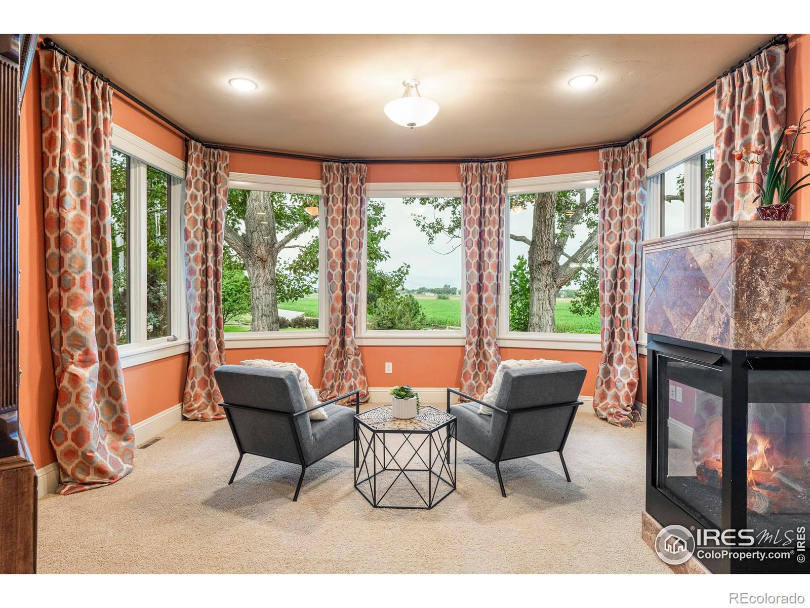 MLS Image #18 for 10515  mooring road,longmont, Colorado