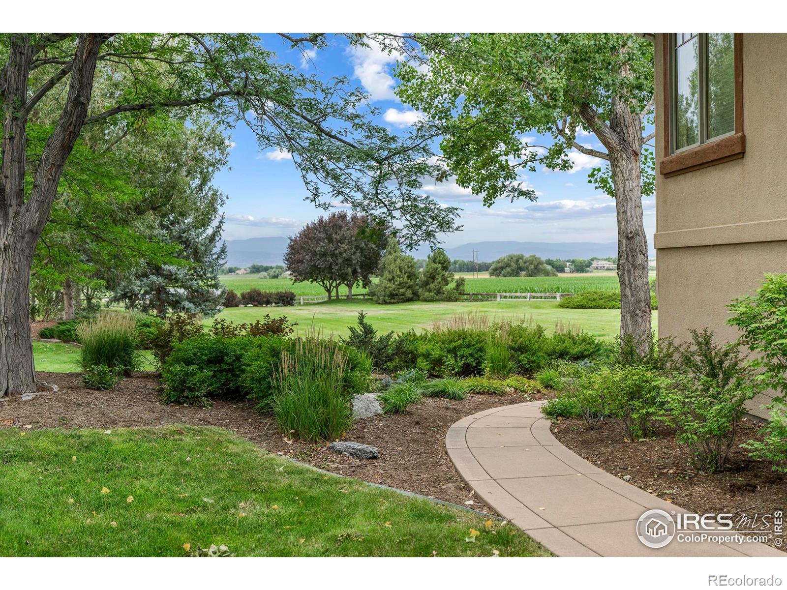 MLS Image #32 for 10515  mooring road,longmont, Colorado
