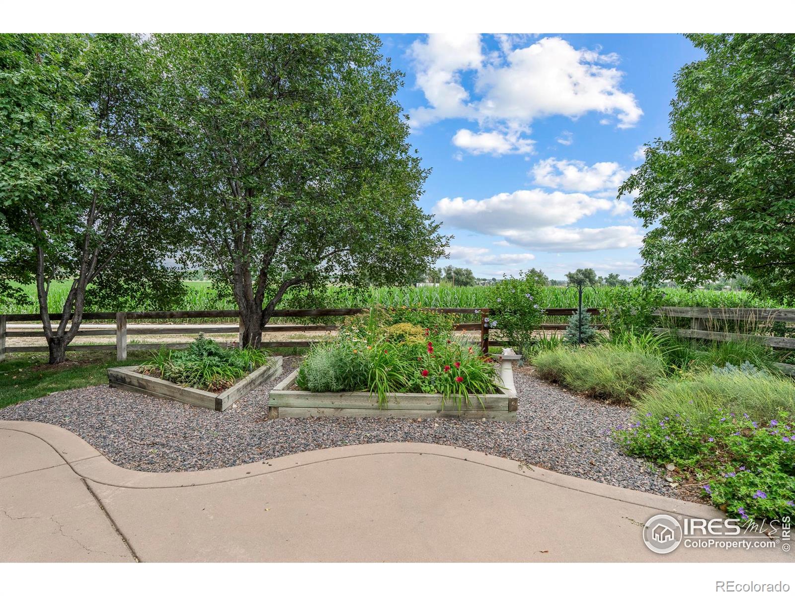 MLS Image #34 for 10515  mooring road,longmont, Colorado