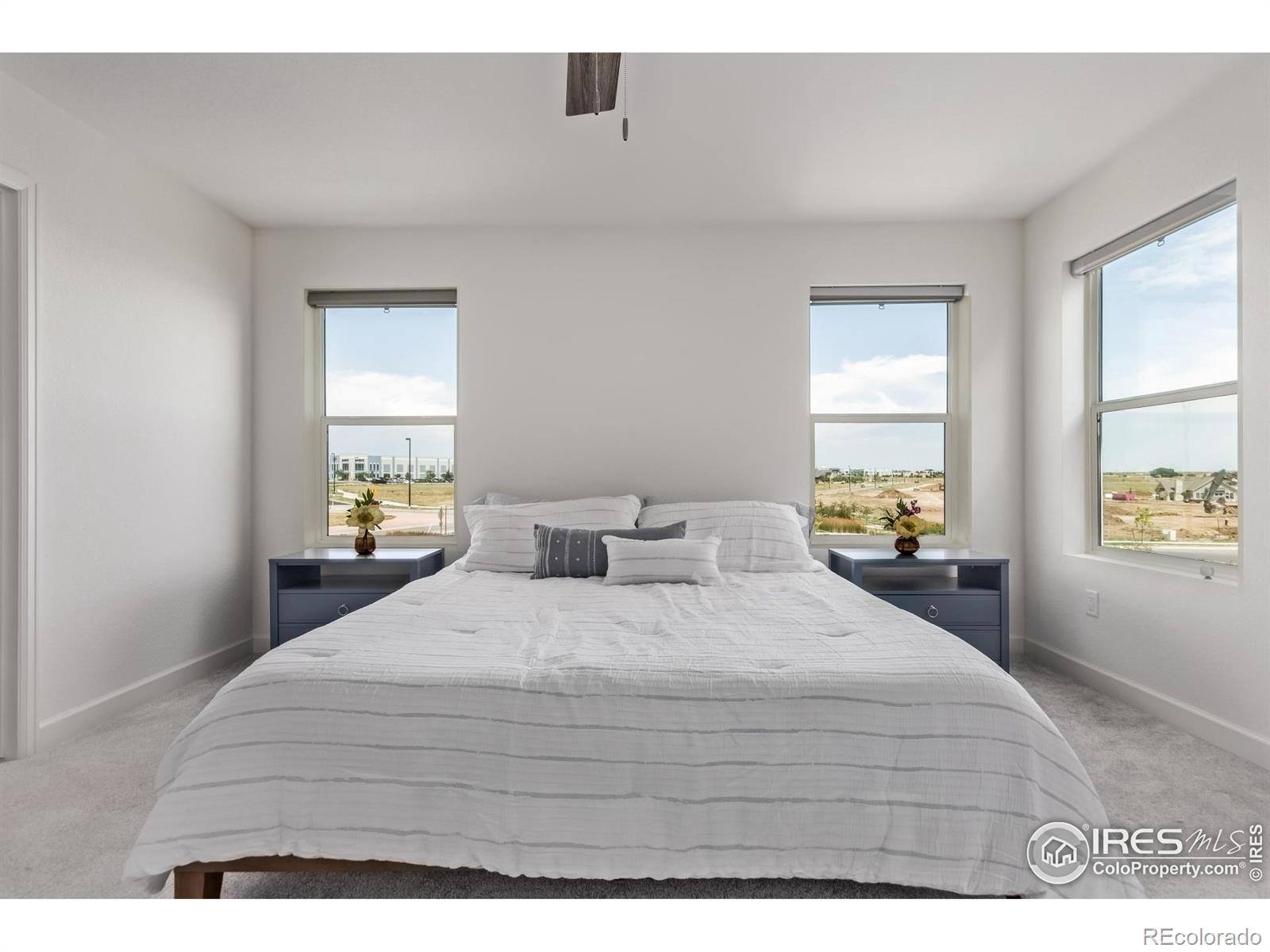 MLS Image #16 for 4183  chasm lake drive,loveland, Colorado