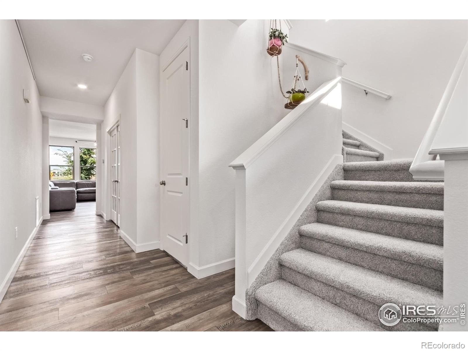 MLS Image #4 for 4183  chasm lake drive,loveland, Colorado