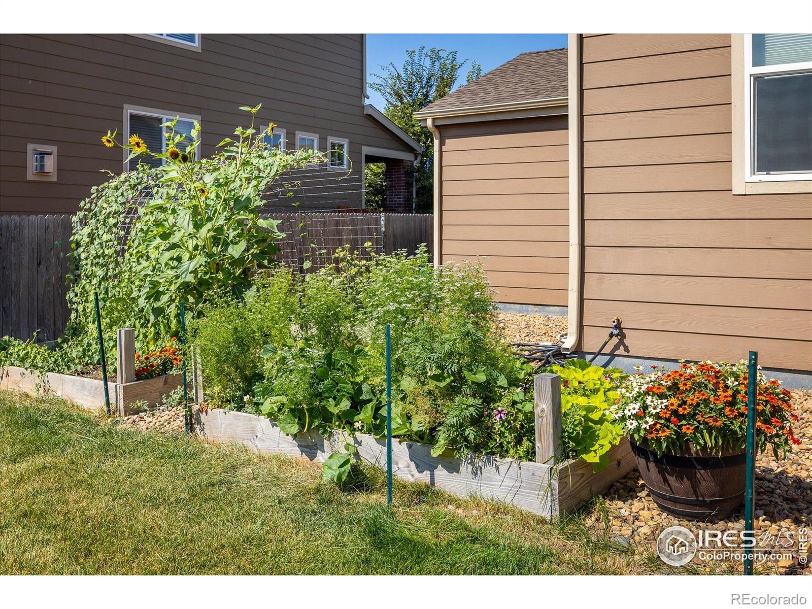 MLS Image #29 for 31  stewart way,erie, Colorado