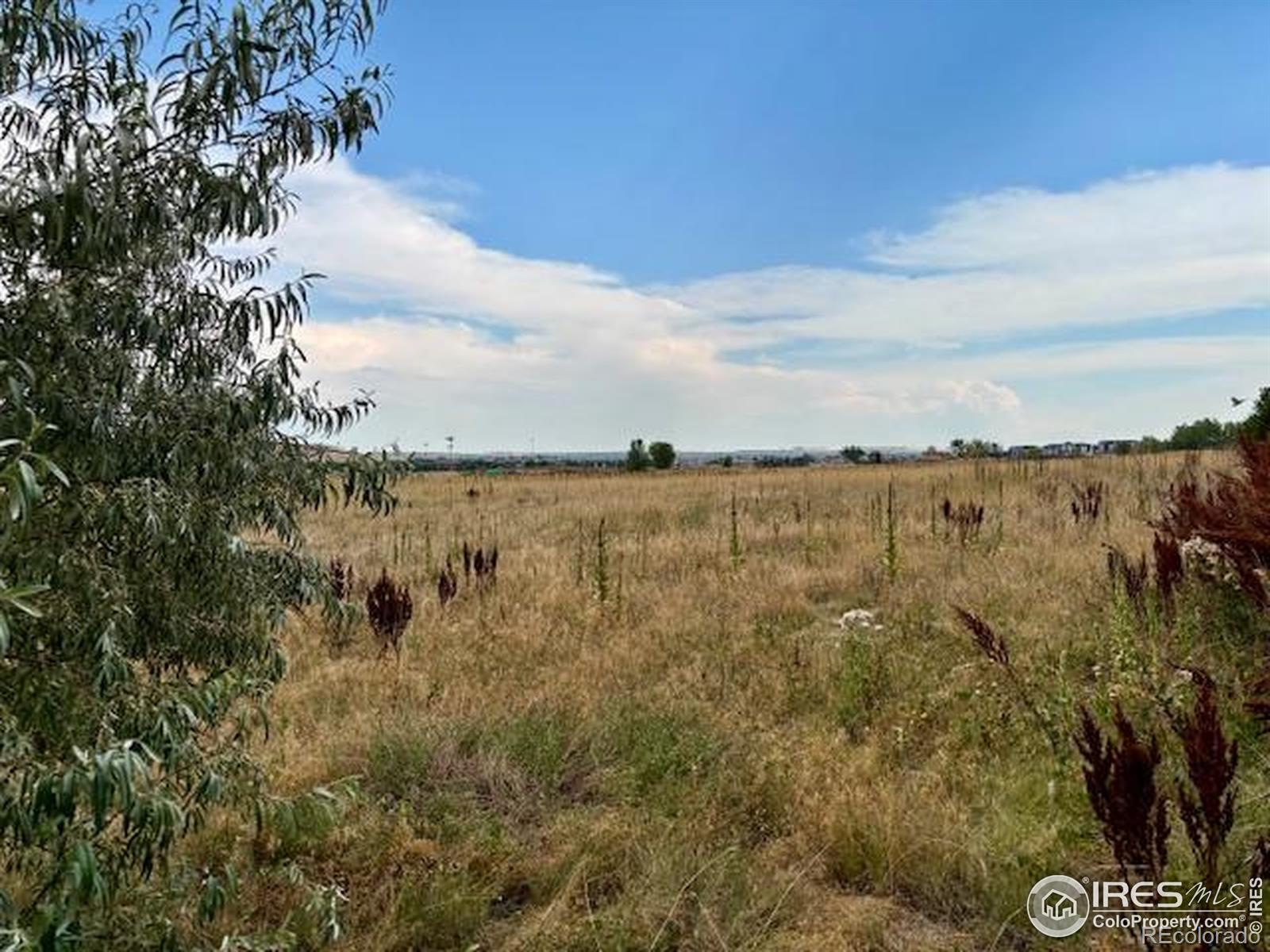 MLS Image #3 for 31  stewart way,erie, Colorado