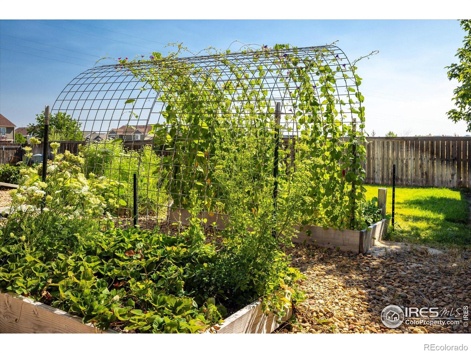 MLS Image #30 for 31  stewart way,erie, Colorado