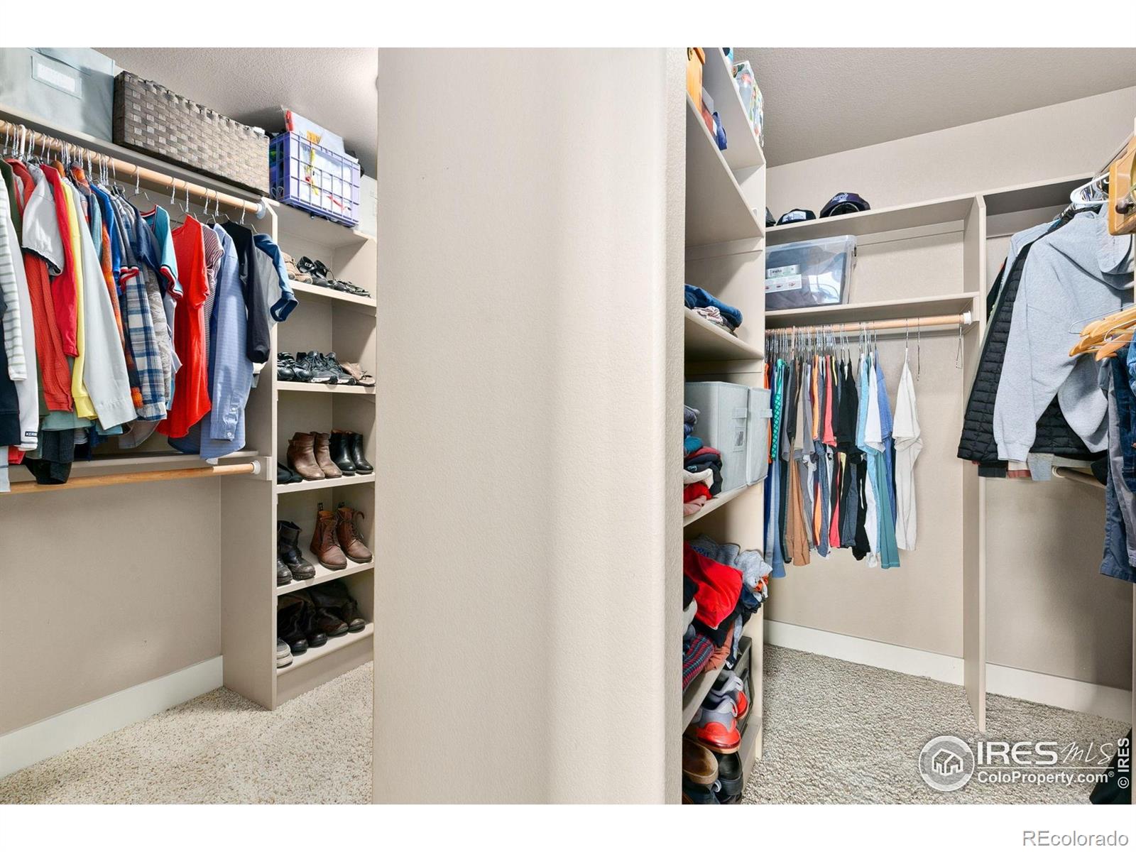 MLS Image #16 for 7344  bay tree street,wellington, Colorado