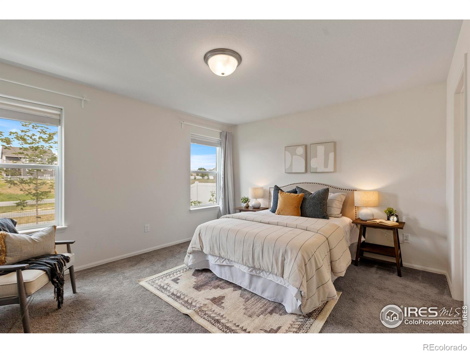 MLS Image #16 for 923  barasingha street,severance, Colorado
