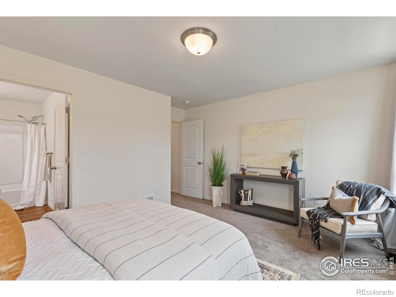 MLS Image #17 for 923  barasingha street,severance, Colorado