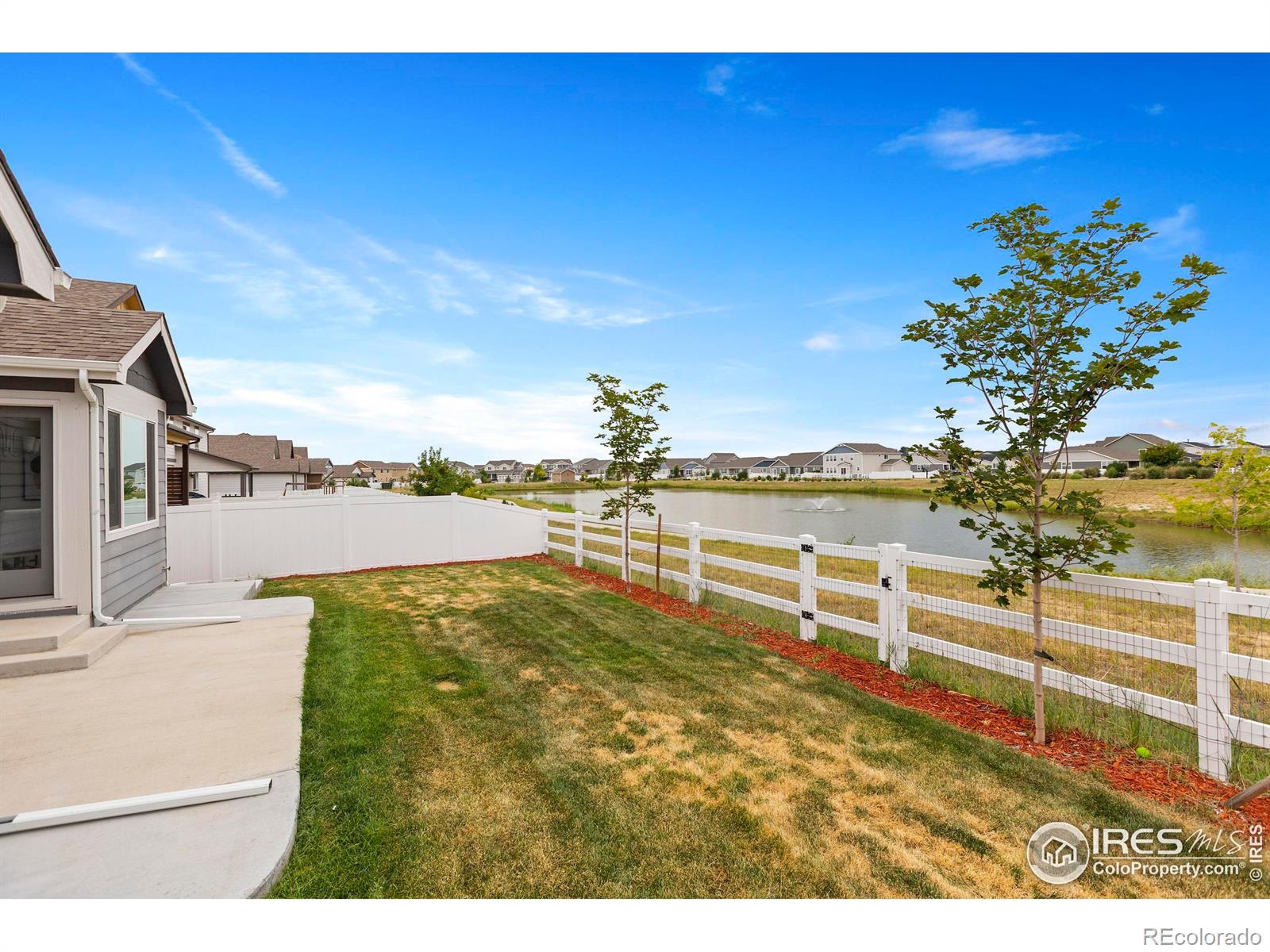 MLS Image #27 for 923  barasingha street,severance, Colorado