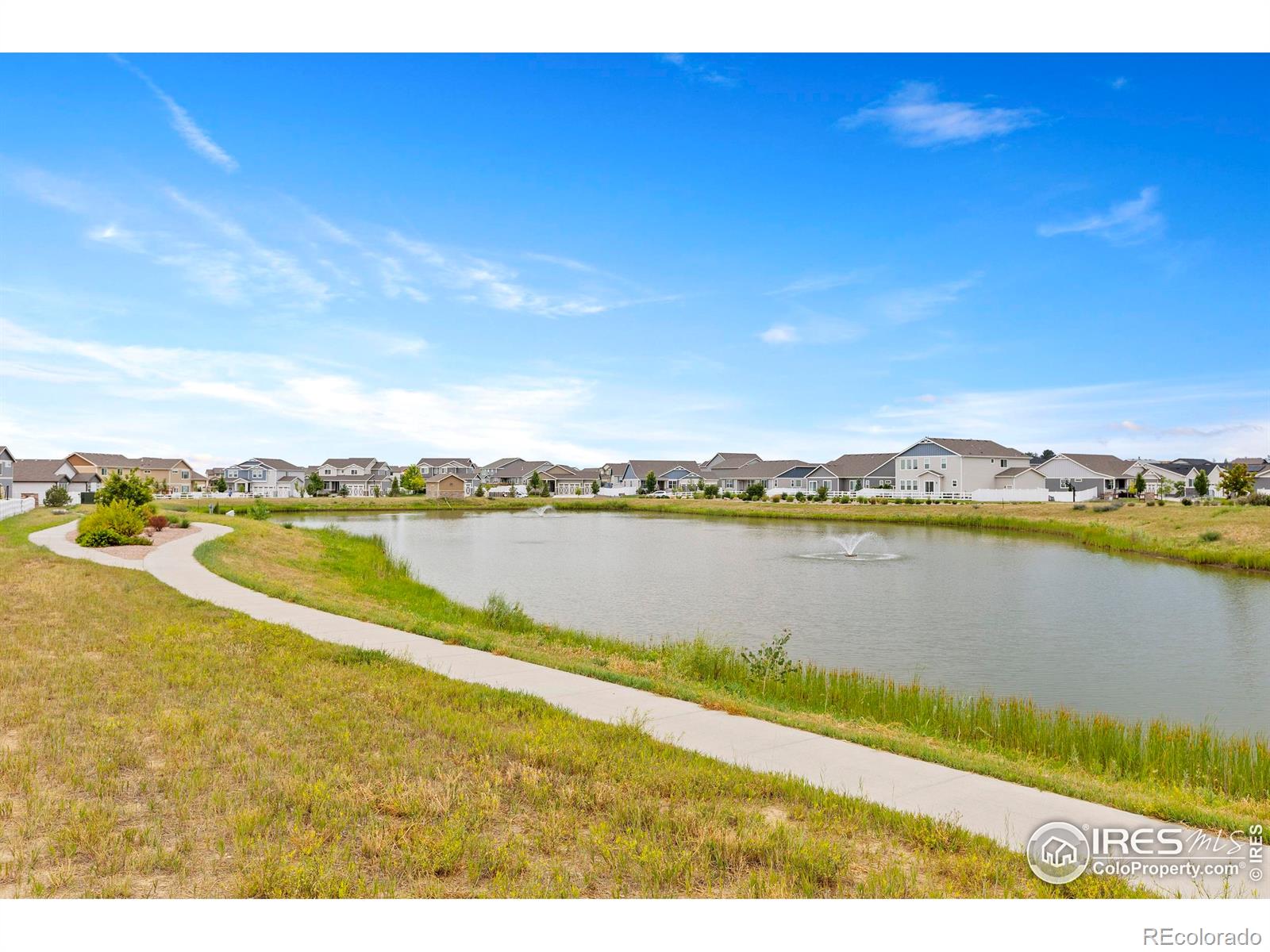 MLS Image #29 for 923  barasingha street,severance, Colorado