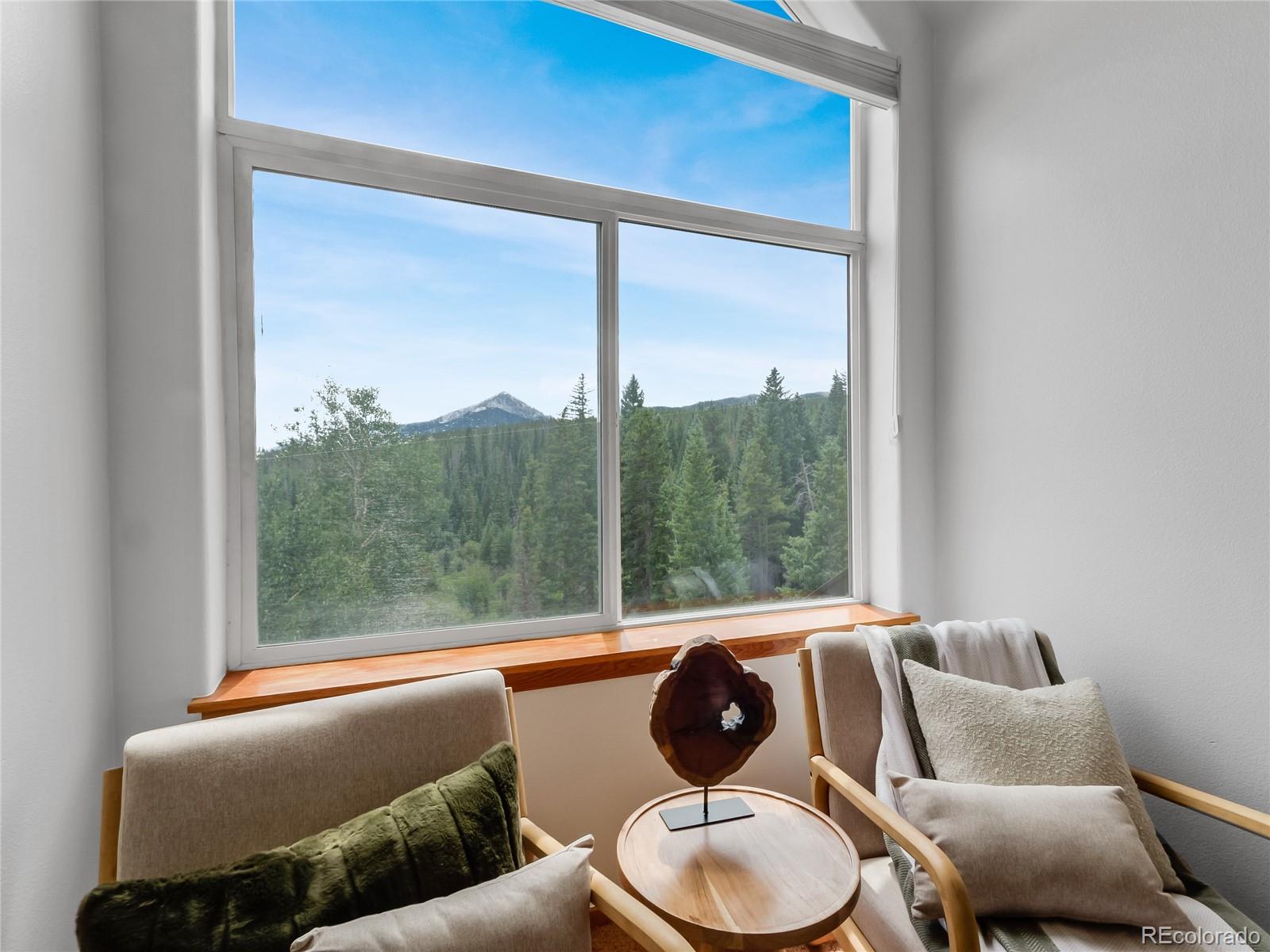 MLS Image #19 for 121  cydney lane,silverthorne, Colorado