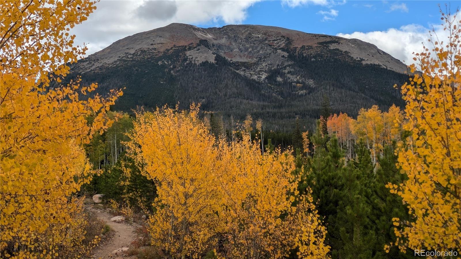 MLS Image #40 for 121  cydney lane,silverthorne, Colorado