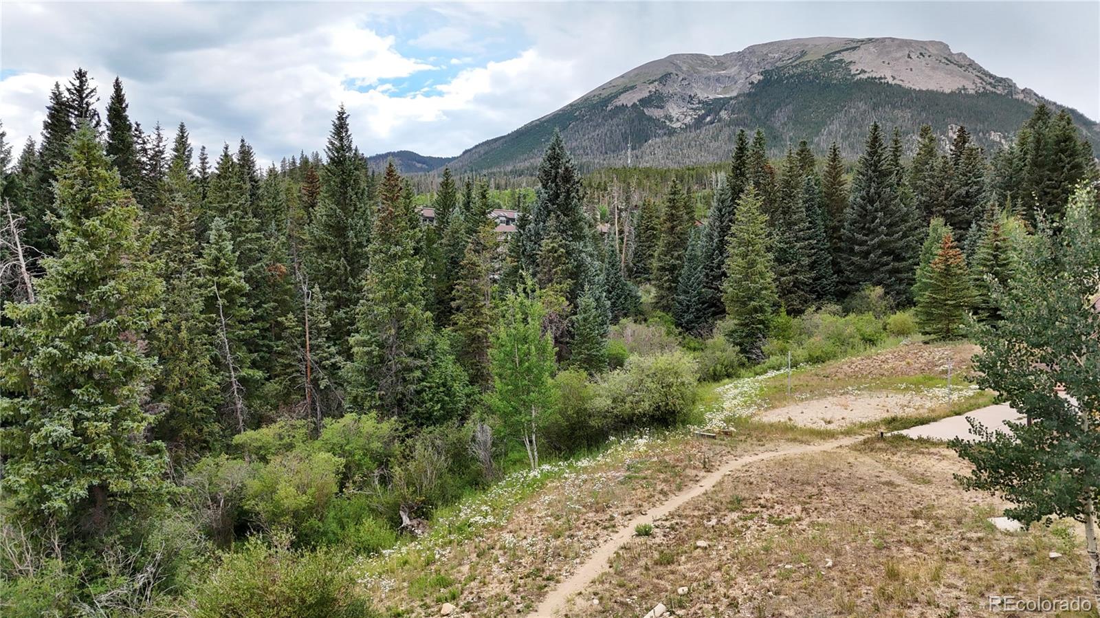 MLS Image #42 for 121  cydney lane,silverthorne, Colorado