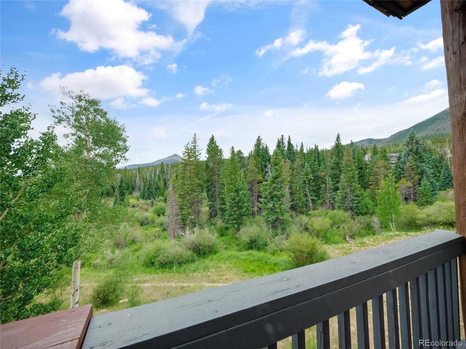 MLS Image #6 for 121  cydney lane,silverthorne, Colorado