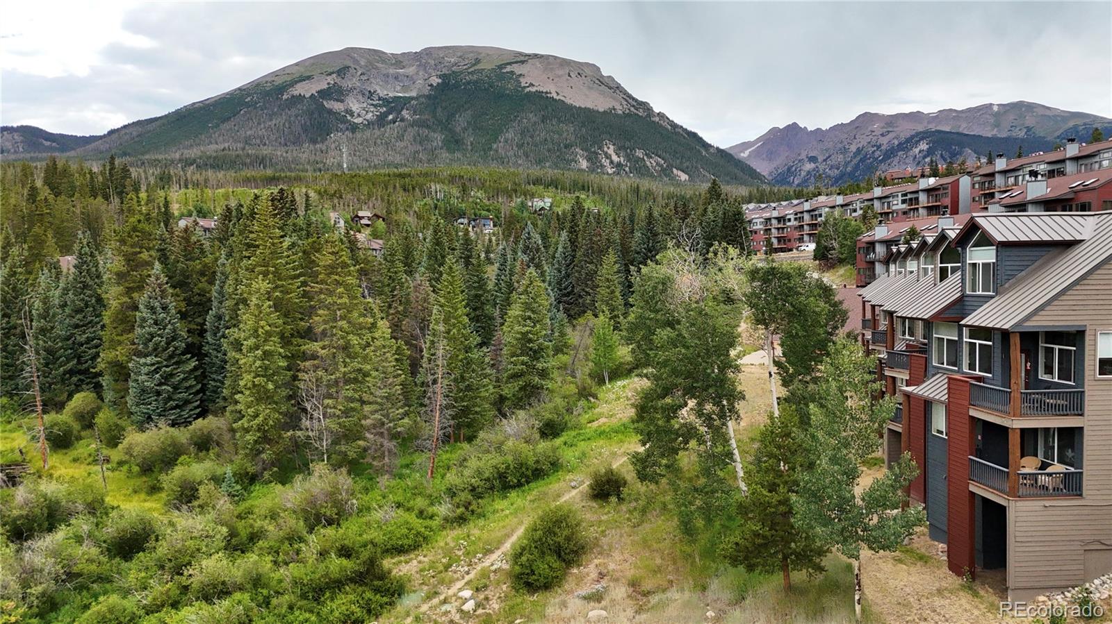 MLS Image #8 for 121  cydney lane,silverthorne, Colorado