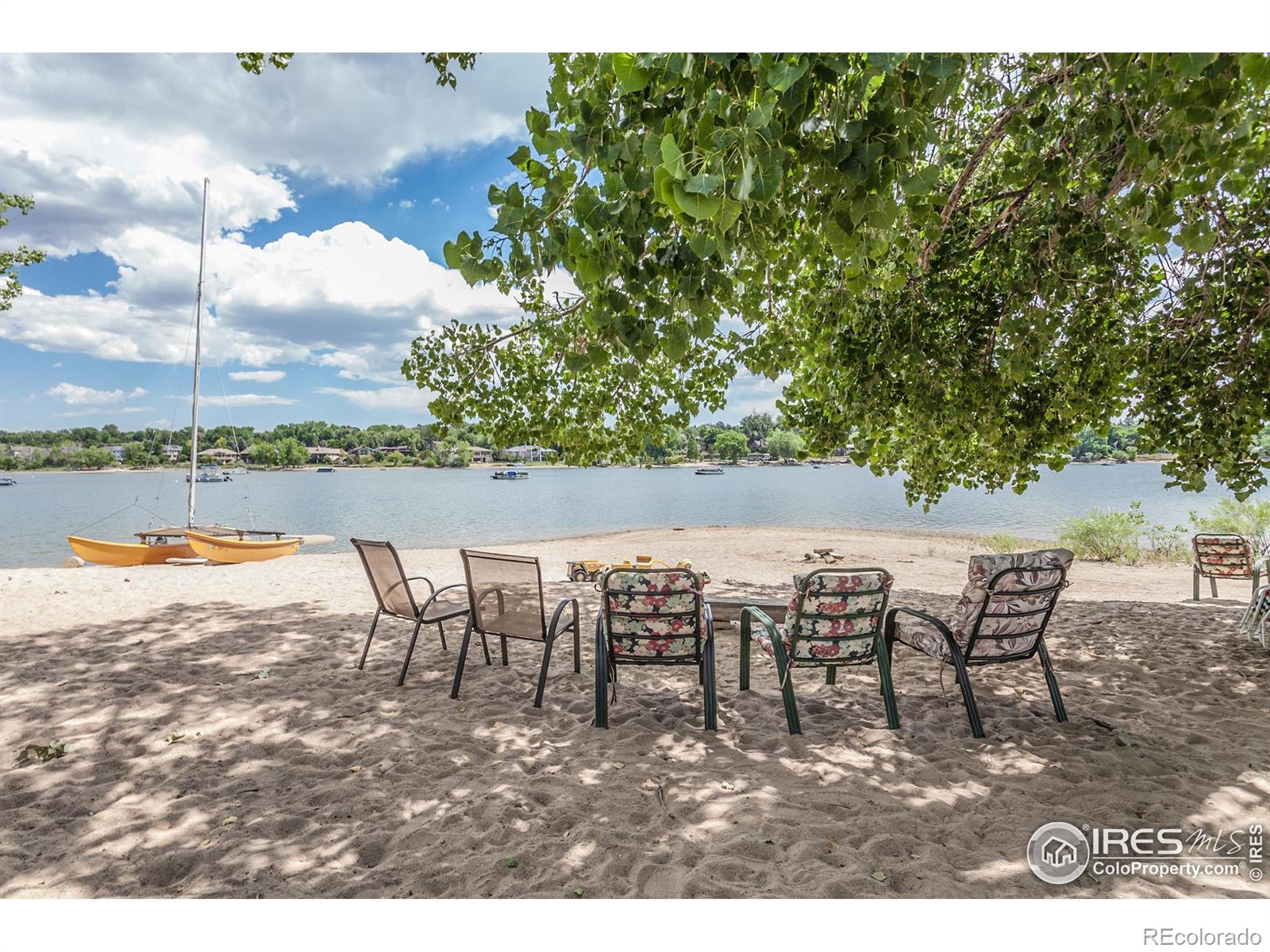 MLS Image #2 for 393  captains court,fort collins, Colorado