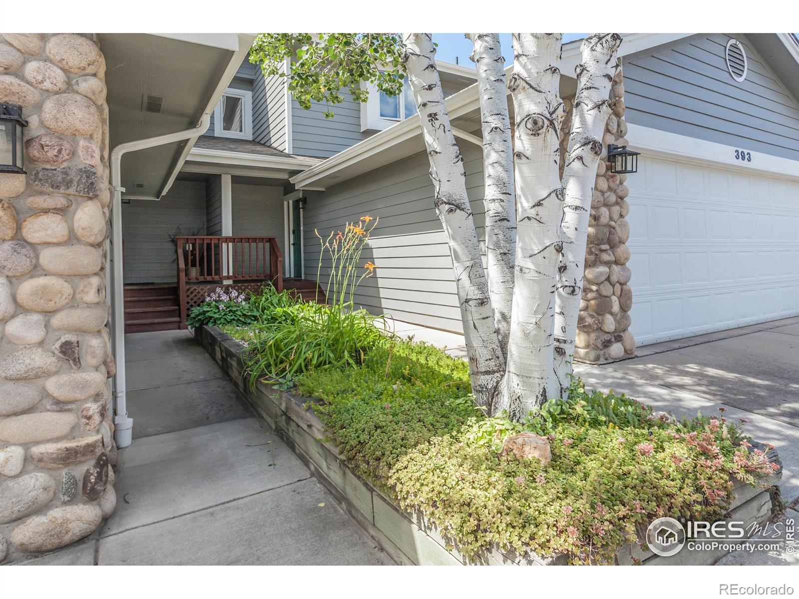 MLS Image #3 for 393  captains court,fort collins, Colorado