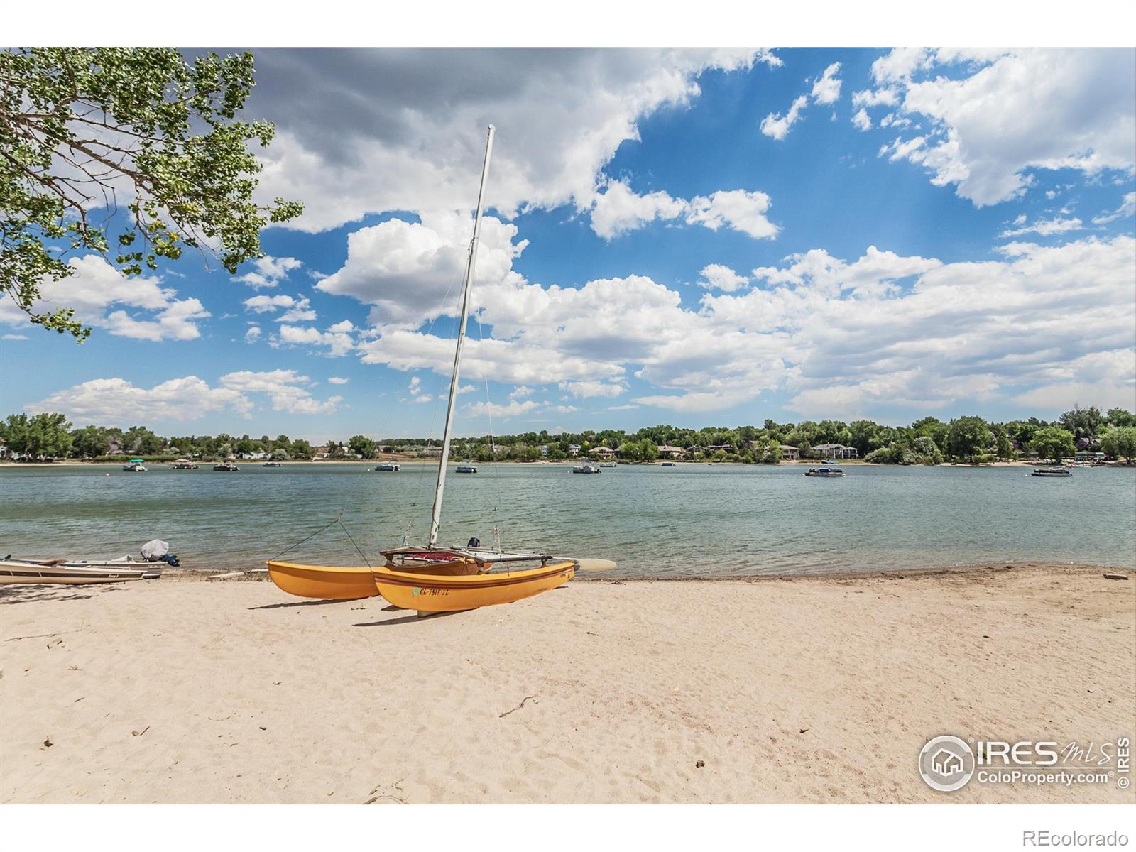 MLS Image #34 for 393  captains court,fort collins, Colorado