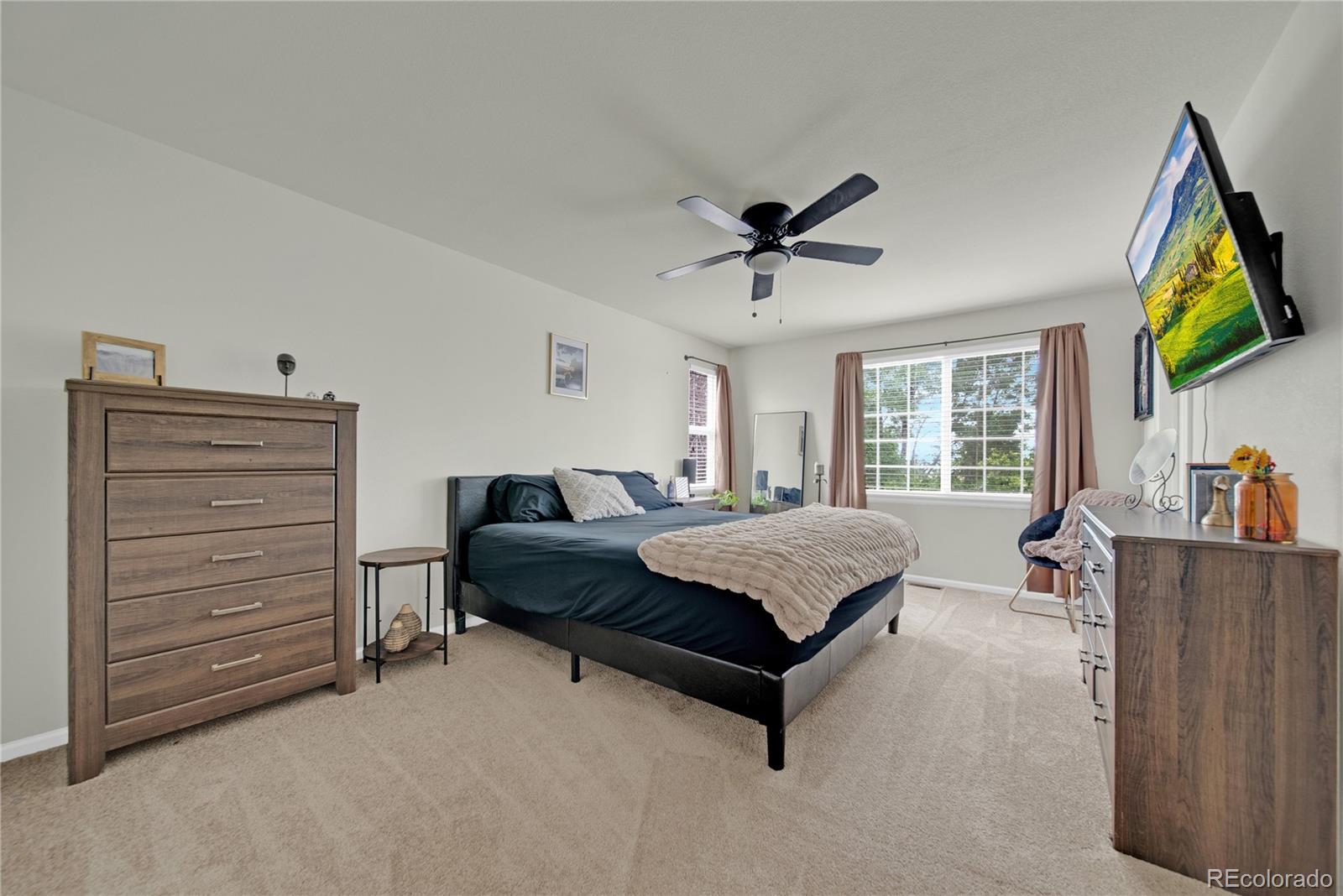 MLS Image #10 for 5292  goldfinch street,brighton, Colorado