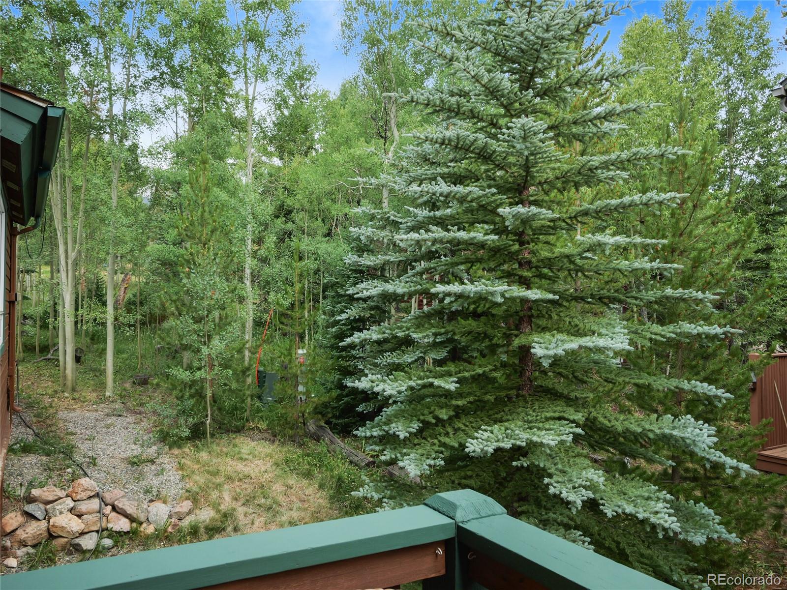 MLS Image #24 for 67  fox hollow lane,silverthorne, Colorado