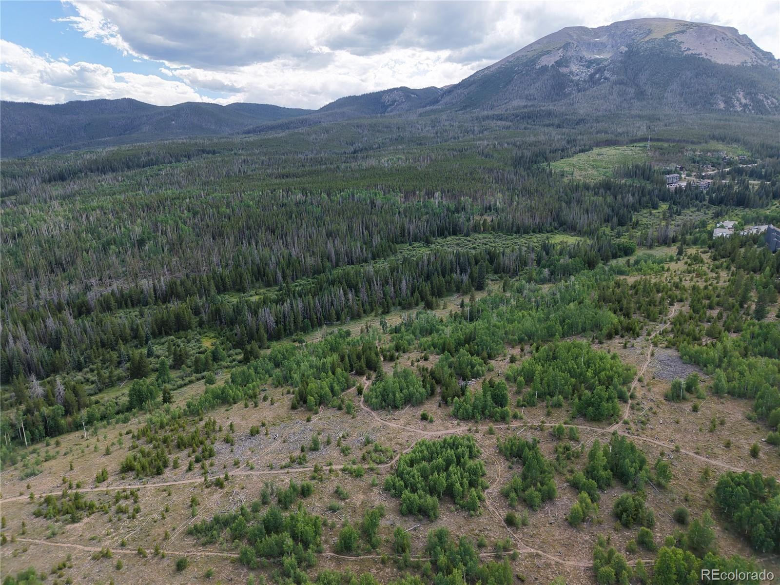 MLS Image #48 for 67  fox hollow lane,silverthorne, Colorado