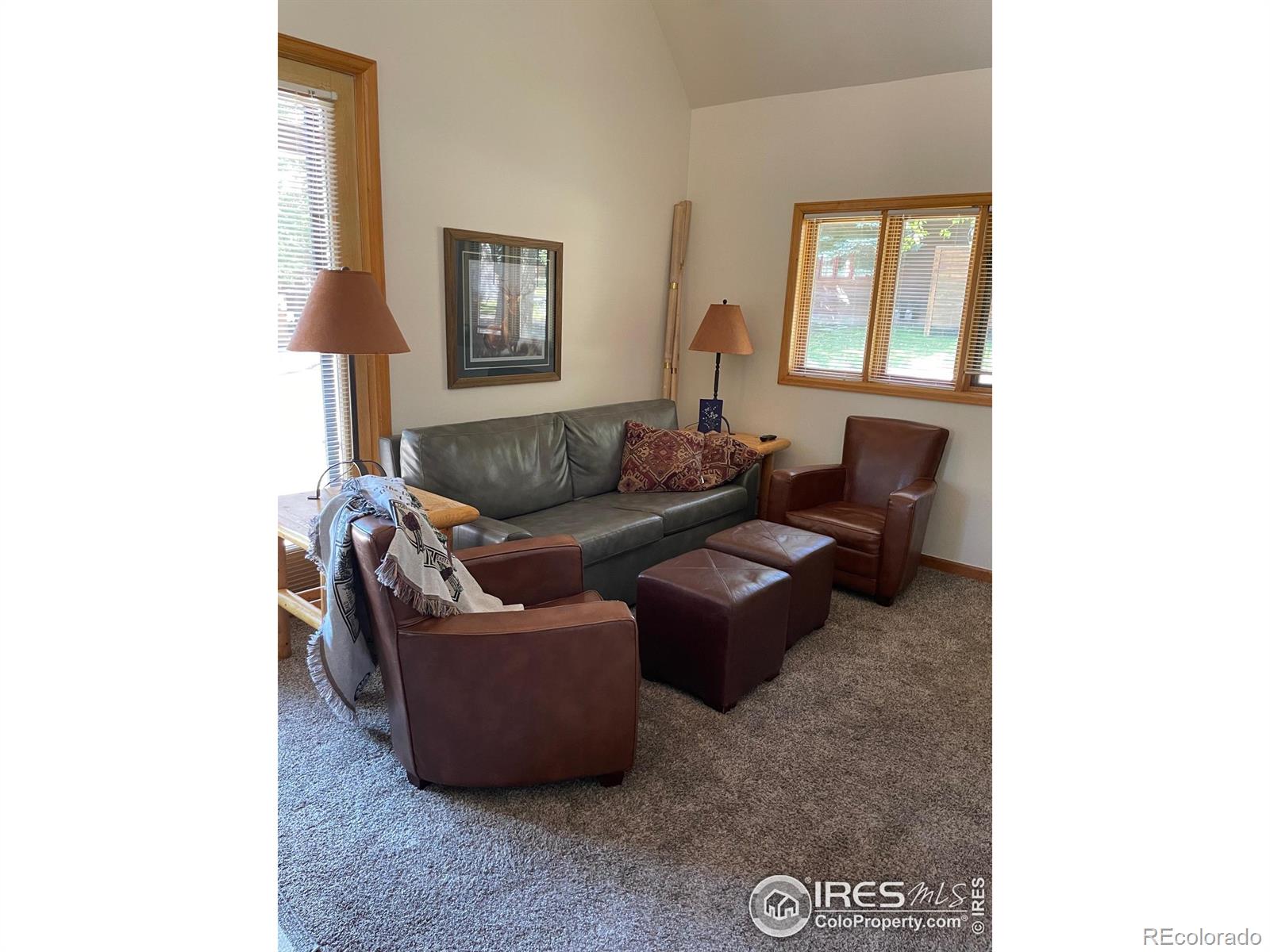 MLS Image #2 for 1565  highway 66 ,estes park, Colorado